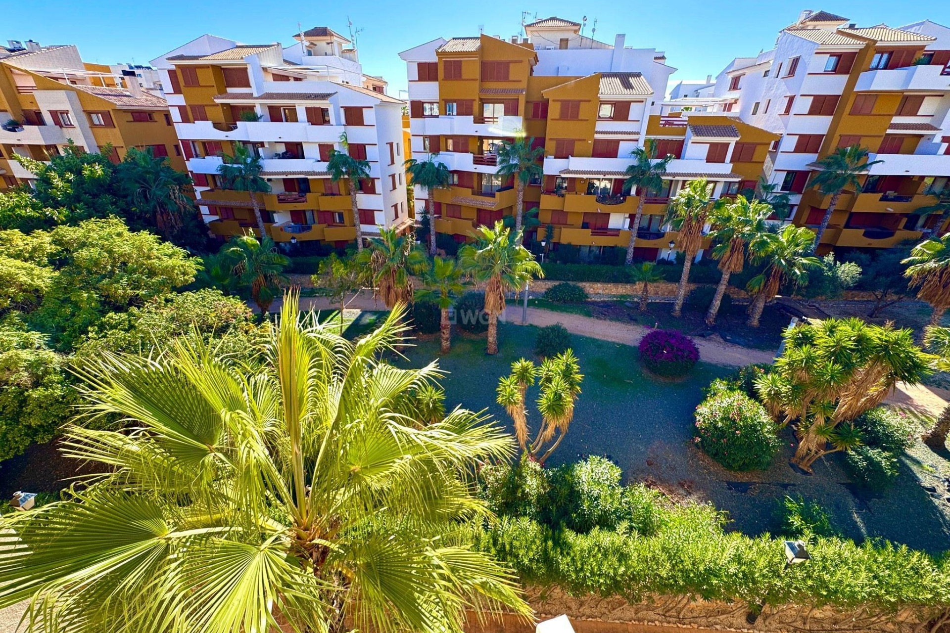 Reventa - Apartamento / piso - Torrevieja - Punta Prima