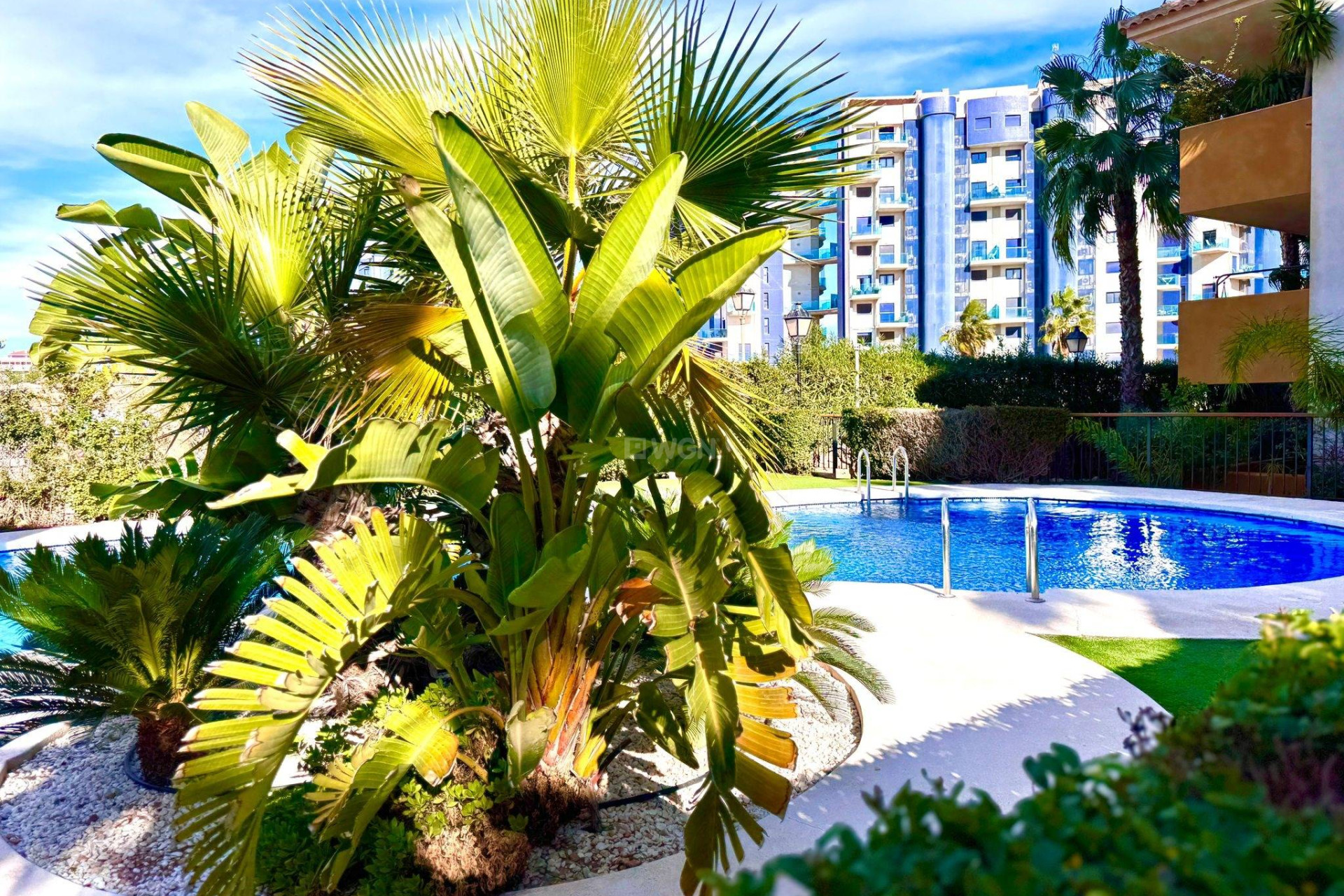 Reventa - Apartamento / piso - Torrevieja - Punta Prima