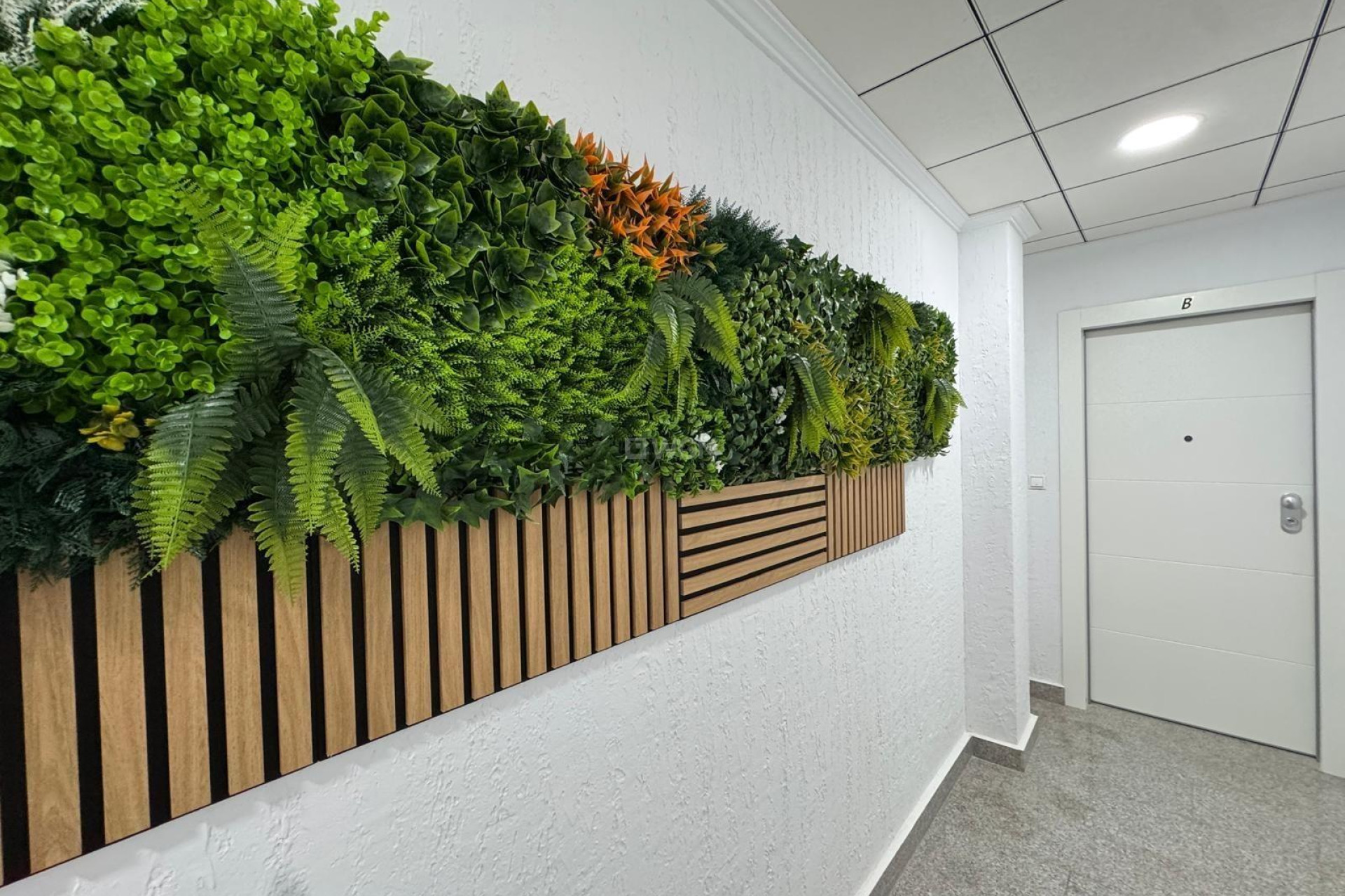 Reventa - Apartamento / piso - Torrevieja