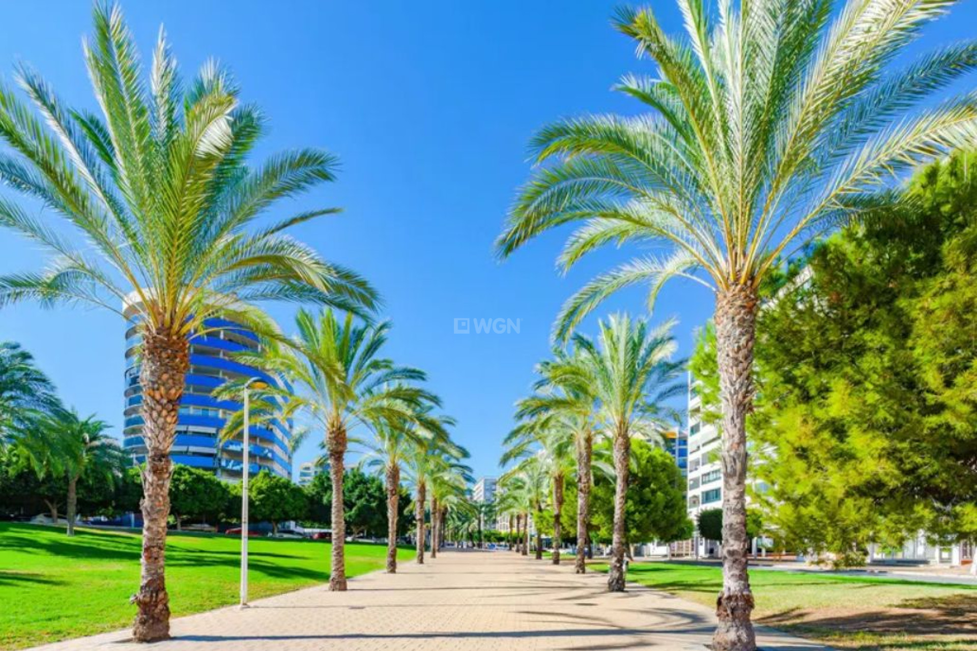 Reventa - Apartamento / piso - Villajoyosa - Costa Blanca