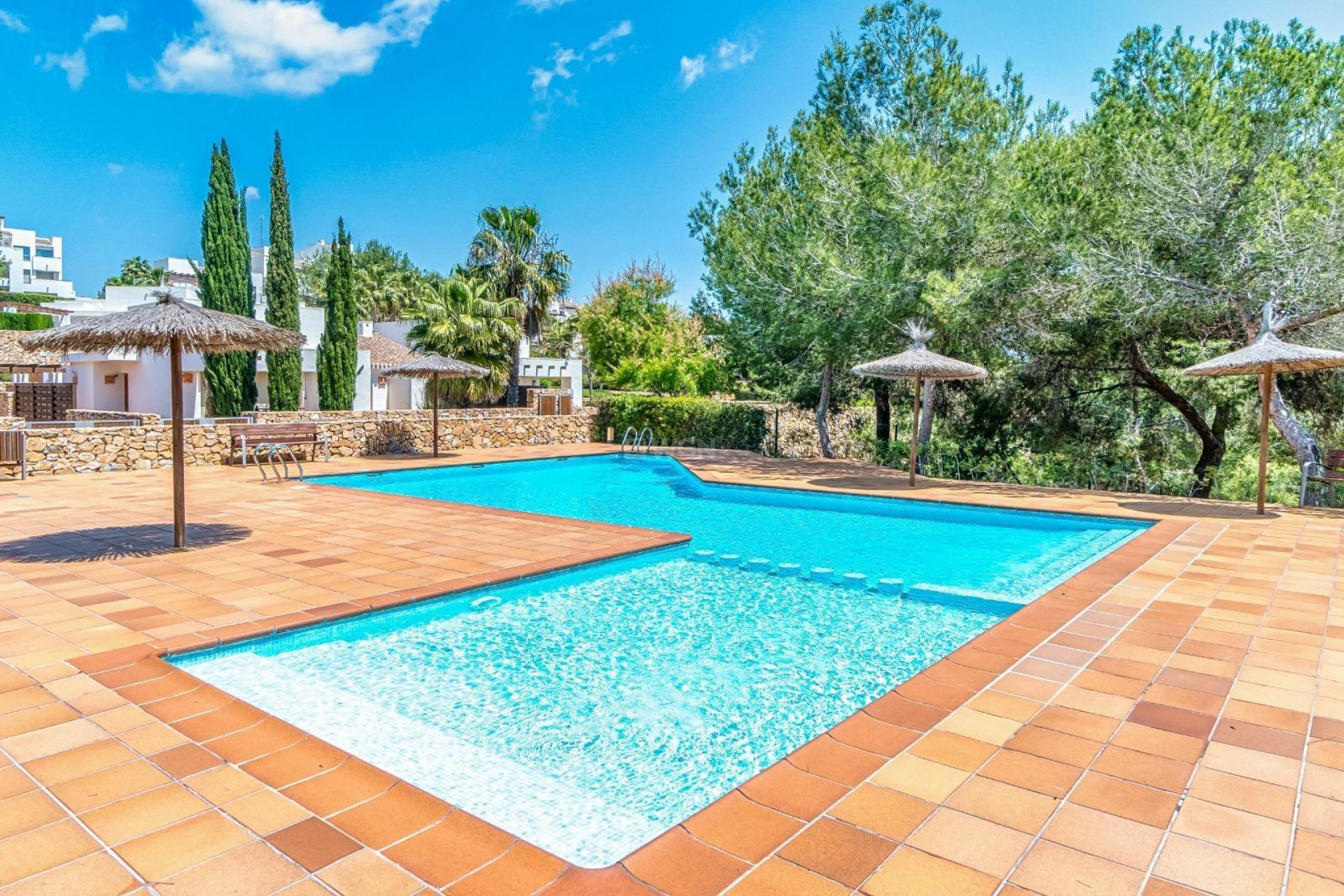 Reventa - Ático - Orihuela - Las Colinas Golf
