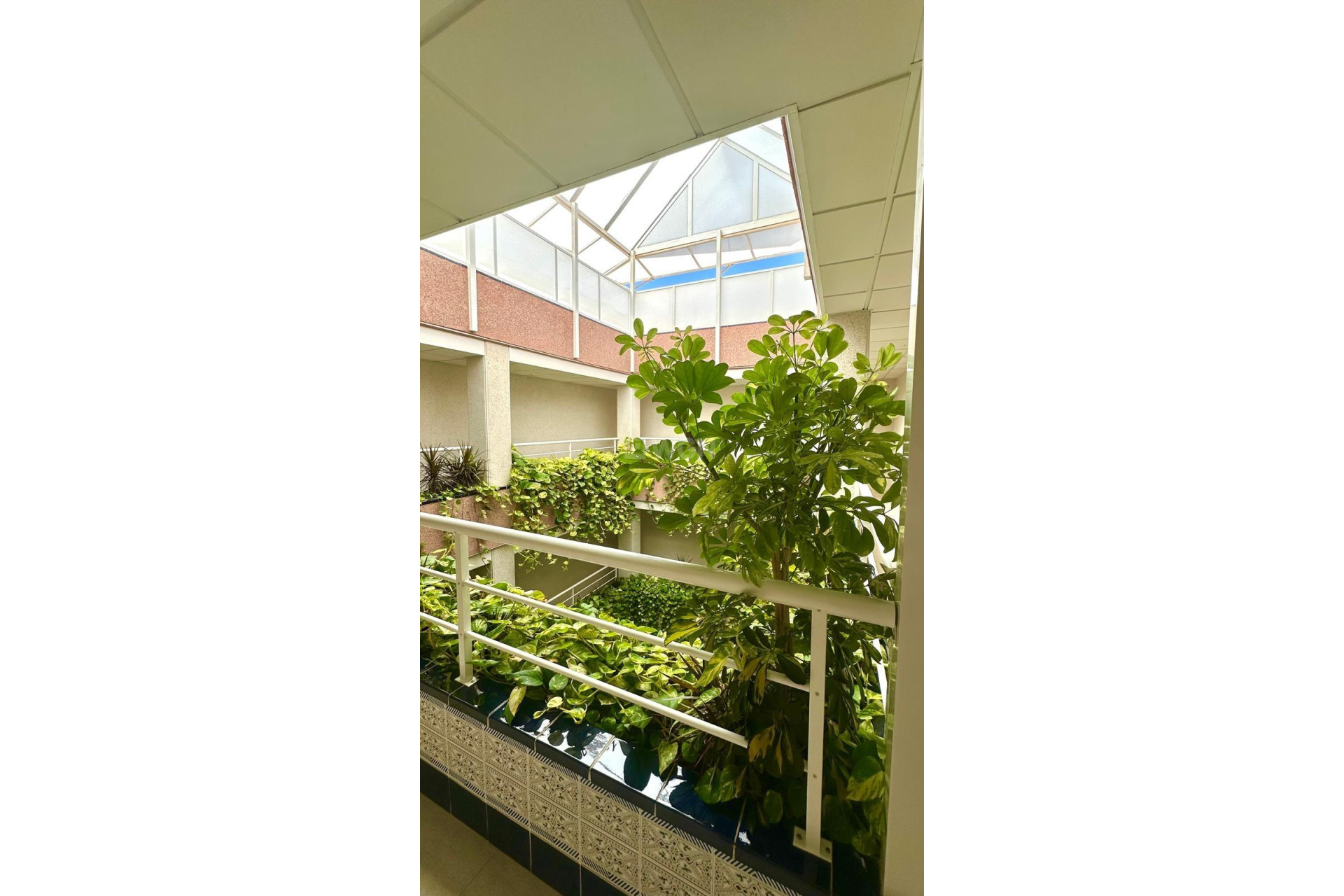 Reventa - Ático - Torrevieja - Centro