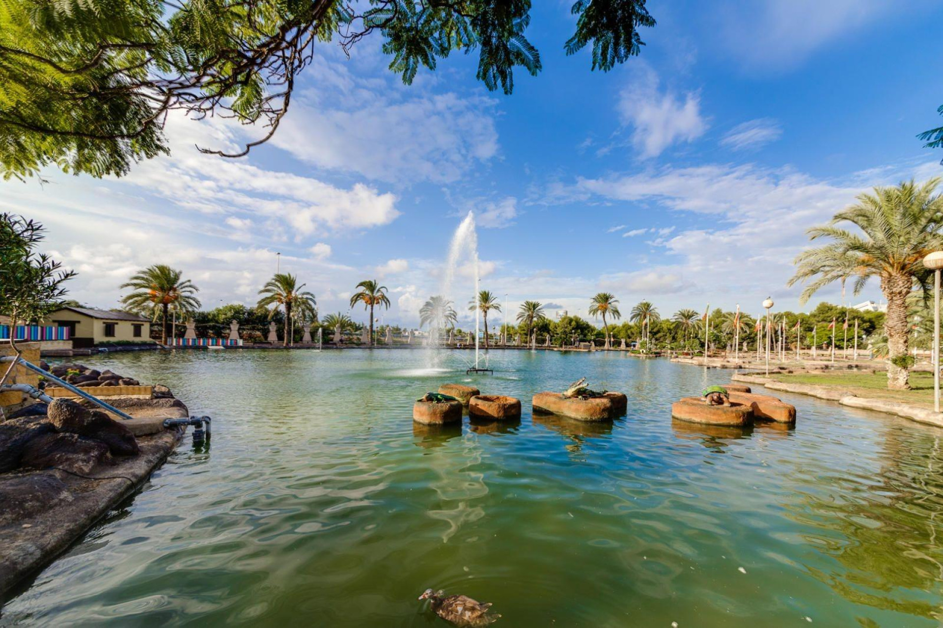 Reventa - Ático - Torrevieja - Centro