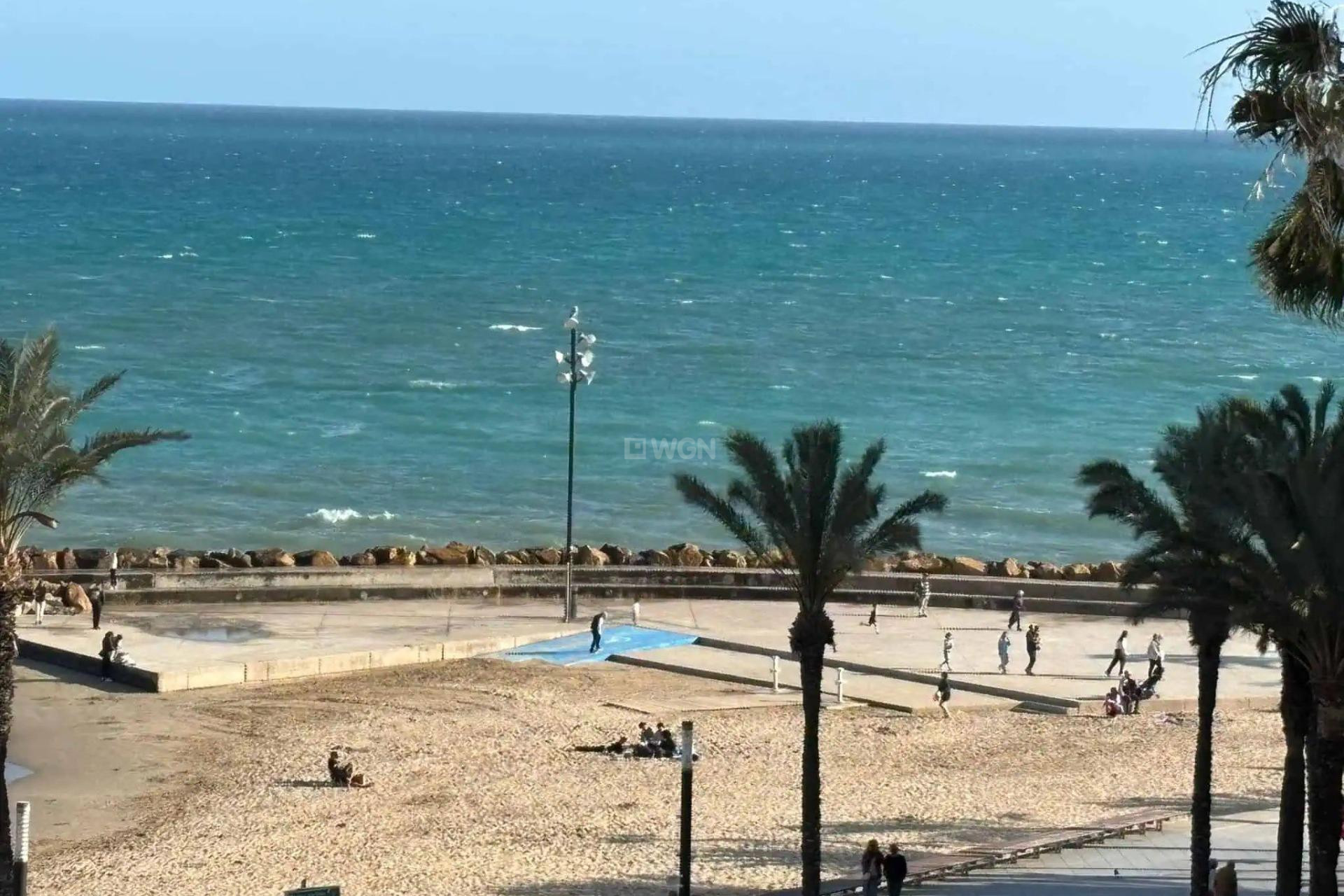 Reventa - Ático - Torrevieja - Las Piscinas Naturales