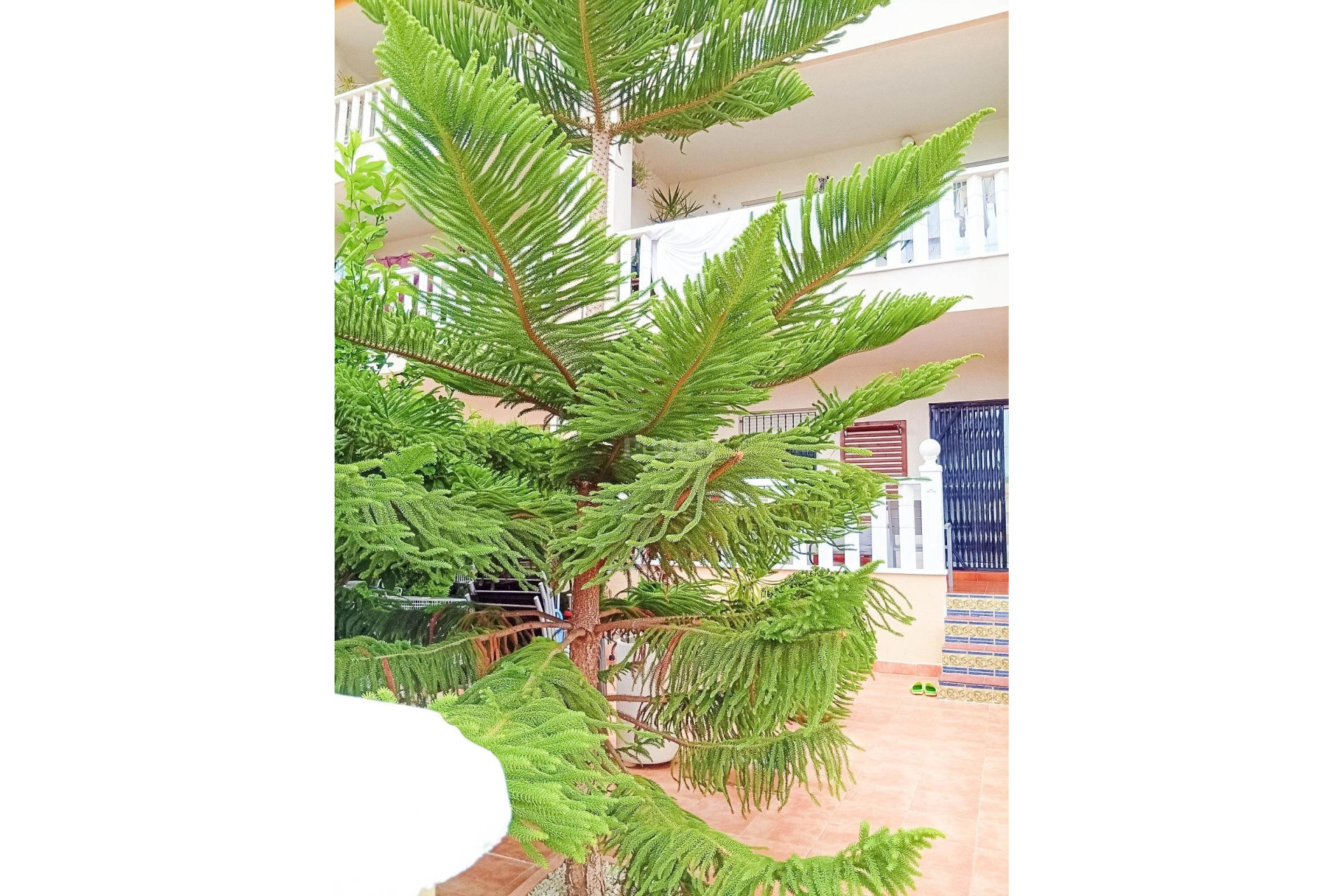 Reventa - Bungalow - Orihuela Costa - Lomas De Cabo Roig-los Dolses