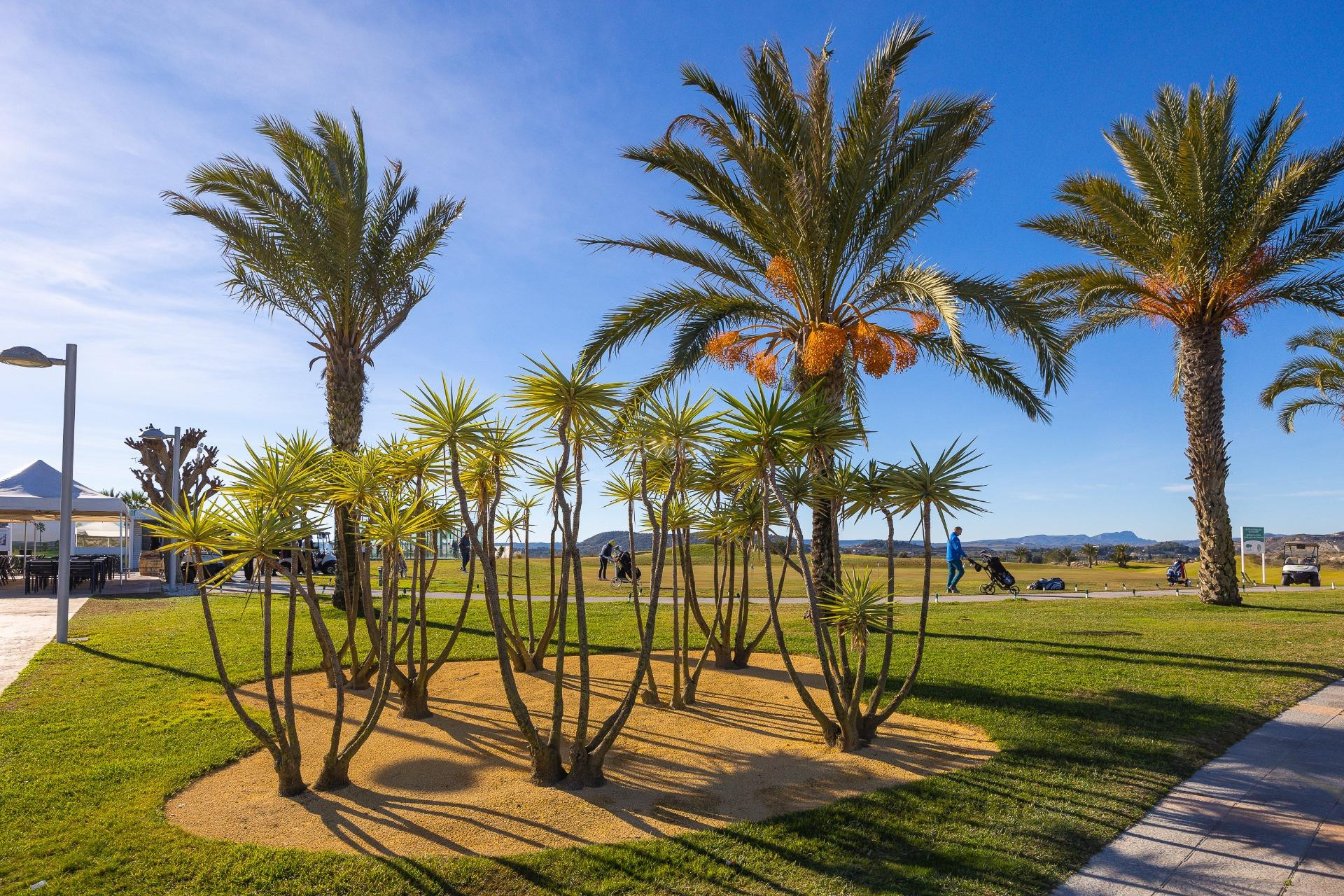 Reventa - Bungalow - Orihuela - Desamparados-hurchillo-torremendo