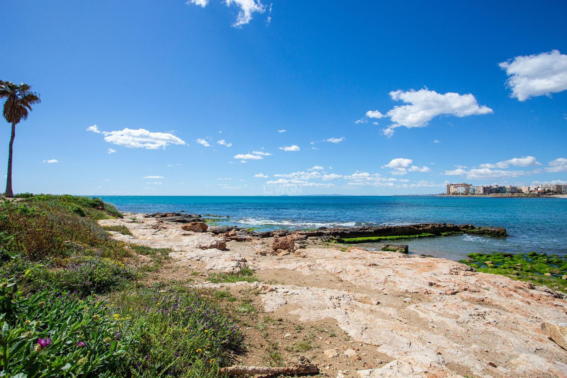 Reventa - Bungalow - Torrevieja - Centro