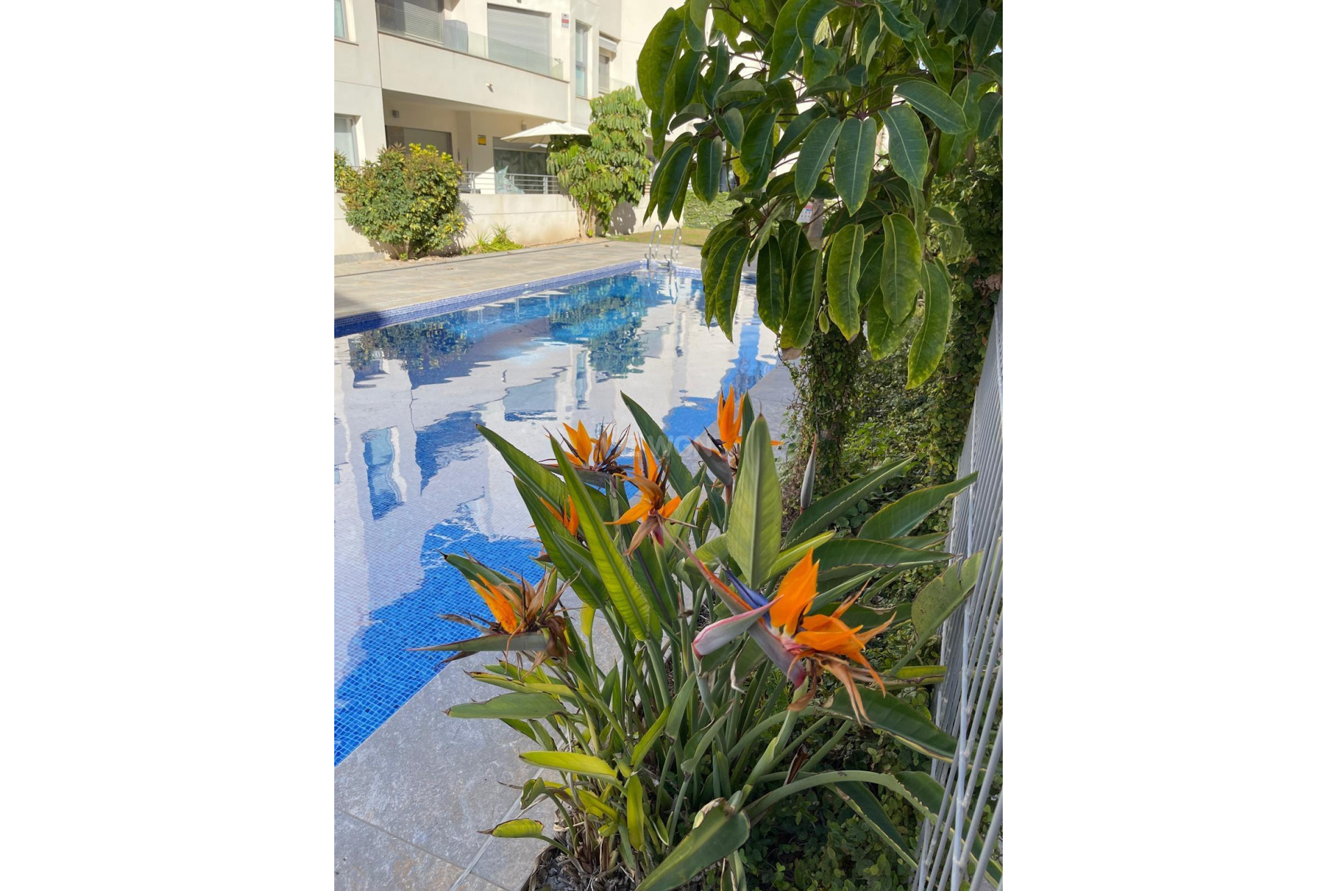 Reventa - Bungalow - Torrevieja - Costa Blanca