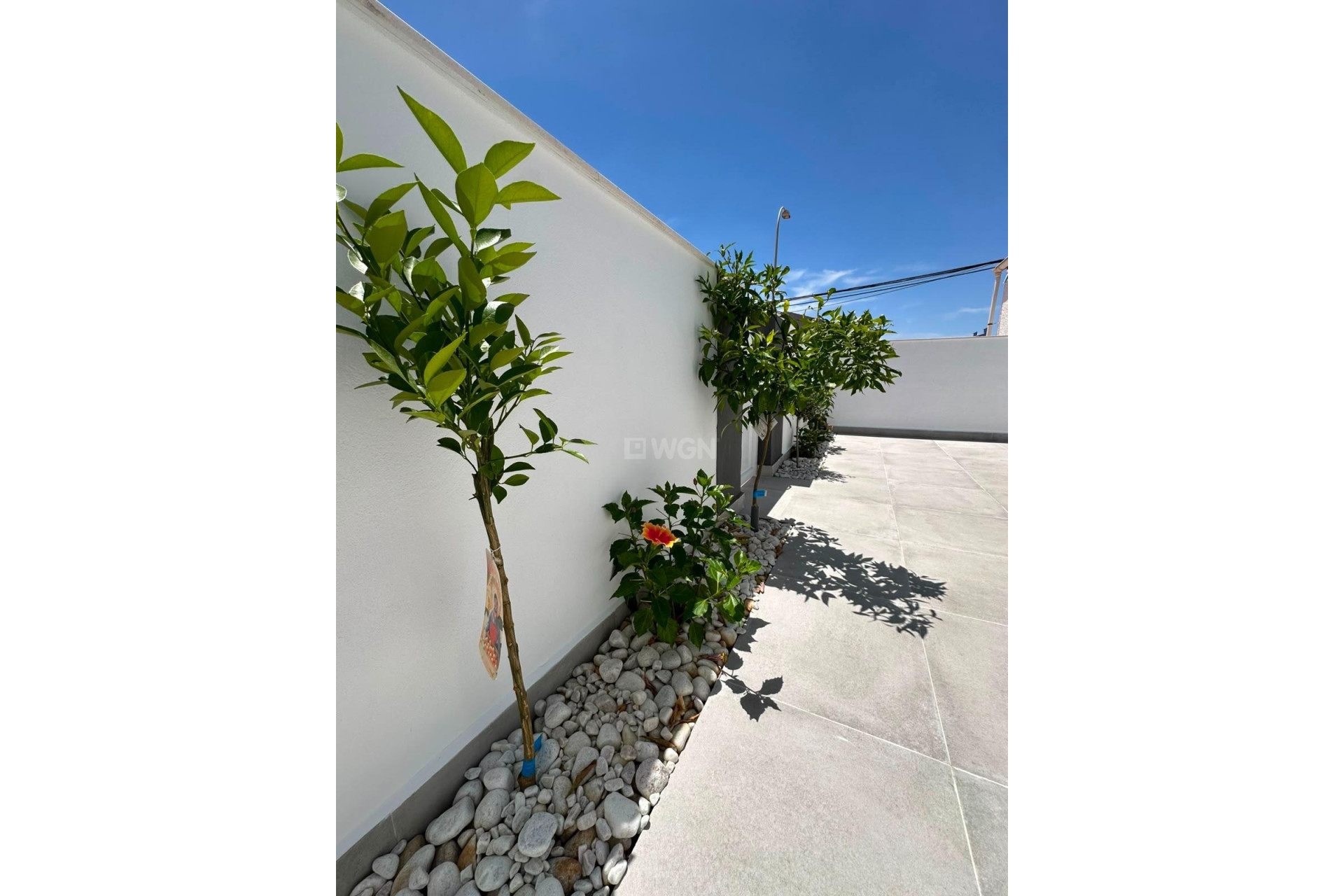Reventa - Bungalow - Torrevieja - La Siesta - El Salado - Torreta