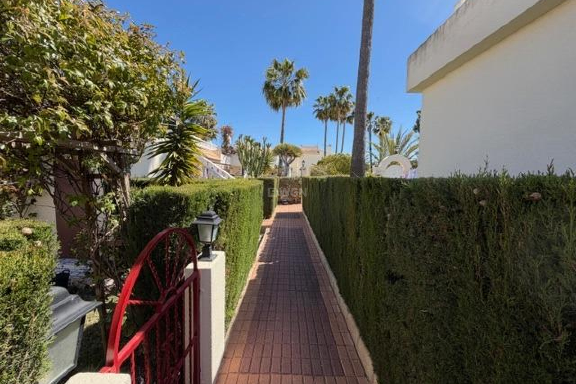 Reventa - Bungalow - Torrevieja - La Siesta