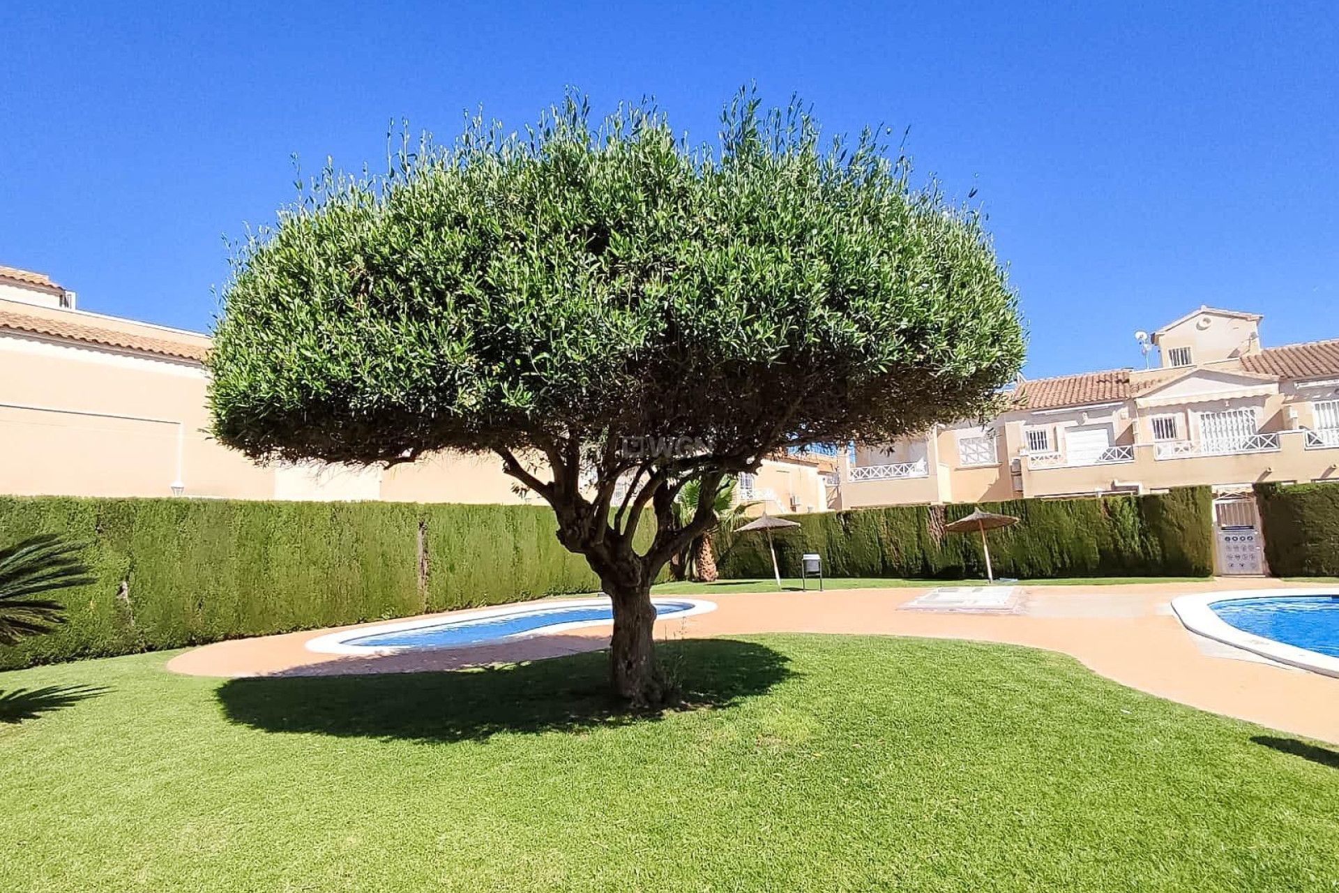 Reventa - Bungalow - Torrevieja - Parque Acuático - Sector 25