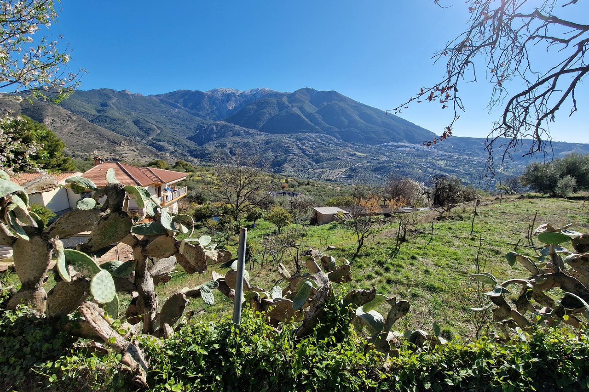 Reventa - Comercial - Alcaucín - Inland