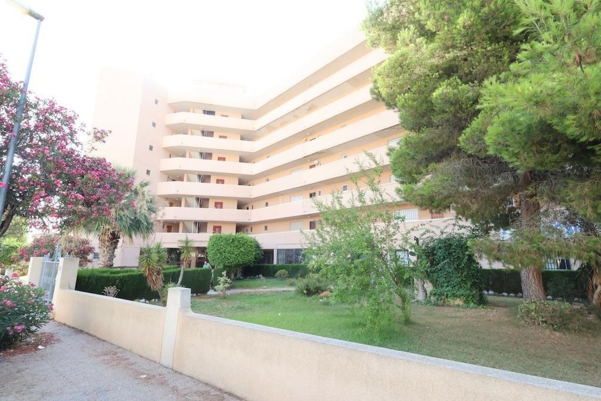 Reventa - Comercial - Orihuela Costa - Costa Blanca