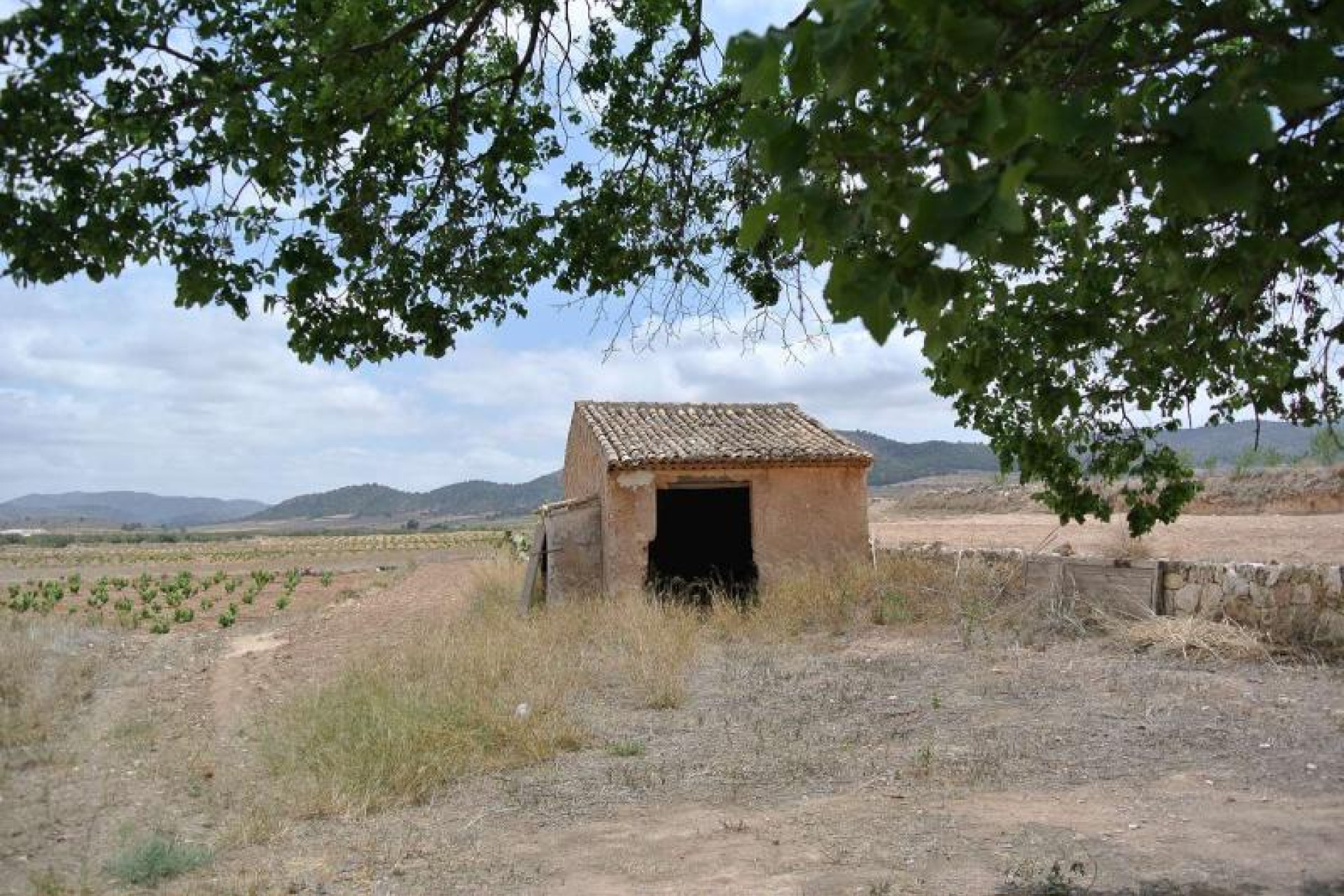 Reventa - Country House - Algueña - Inland