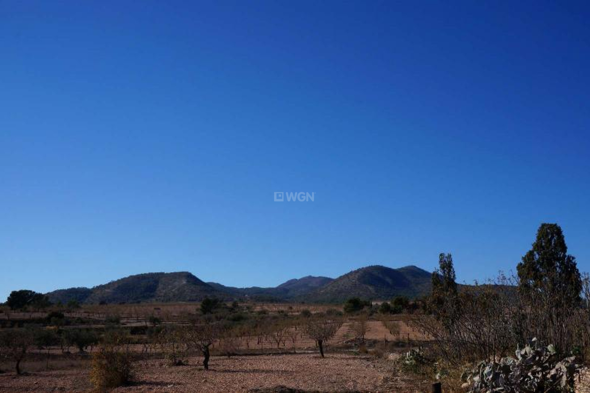 Reventa - Country House - Jumilla - Inland