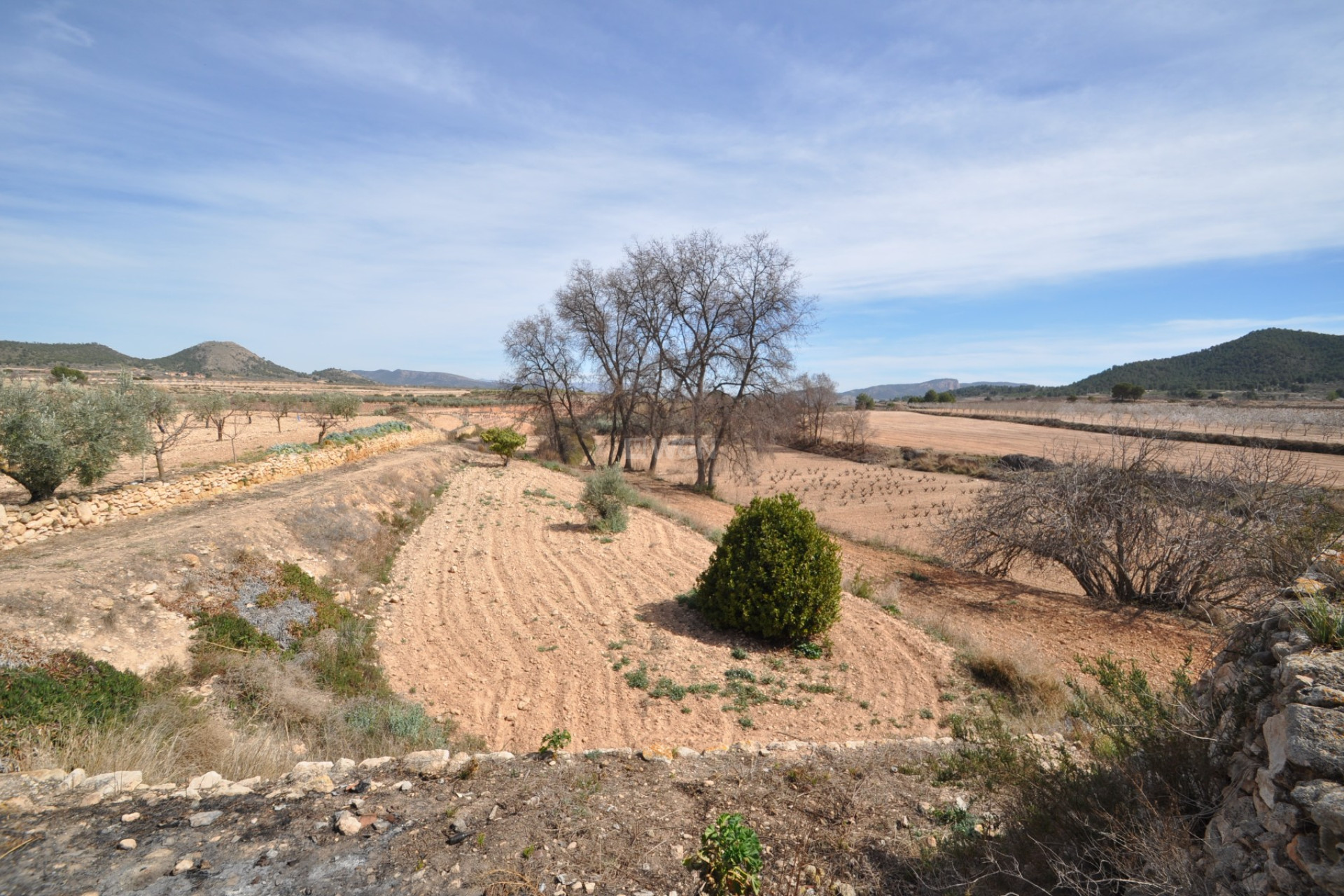 Reventa - Country House - Monóvar/Monóver - Inland