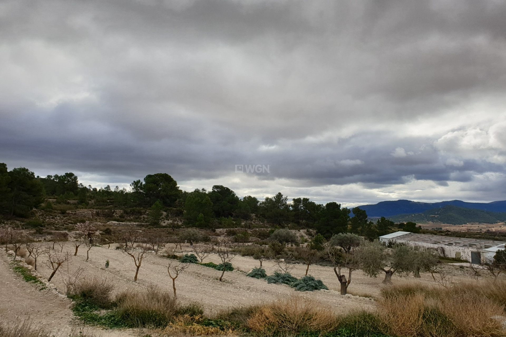 Reventa - Country House - Monóvar/Monóver - Inland