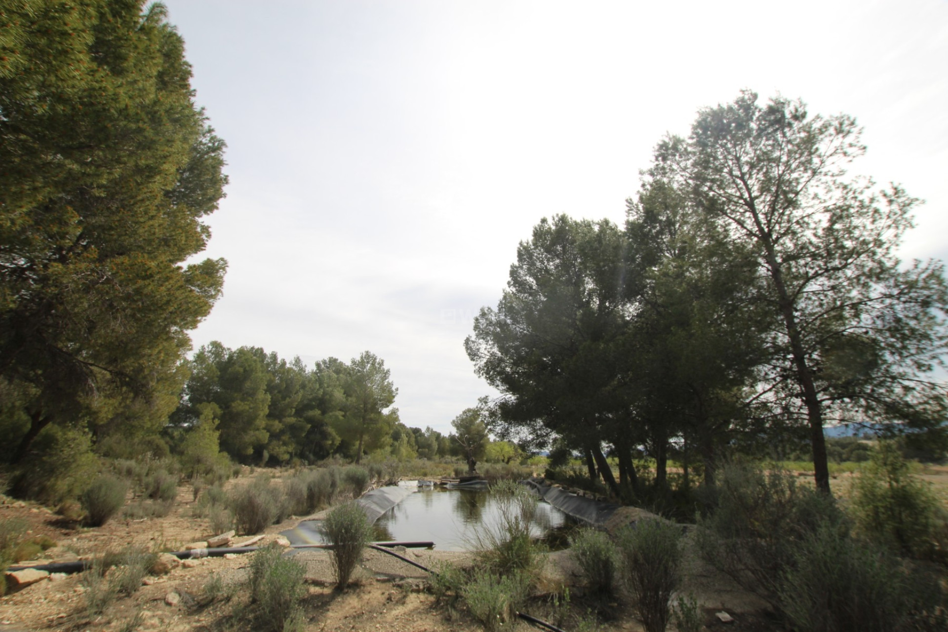 Reventa - Country House - Monóvar/Monóver - Inland