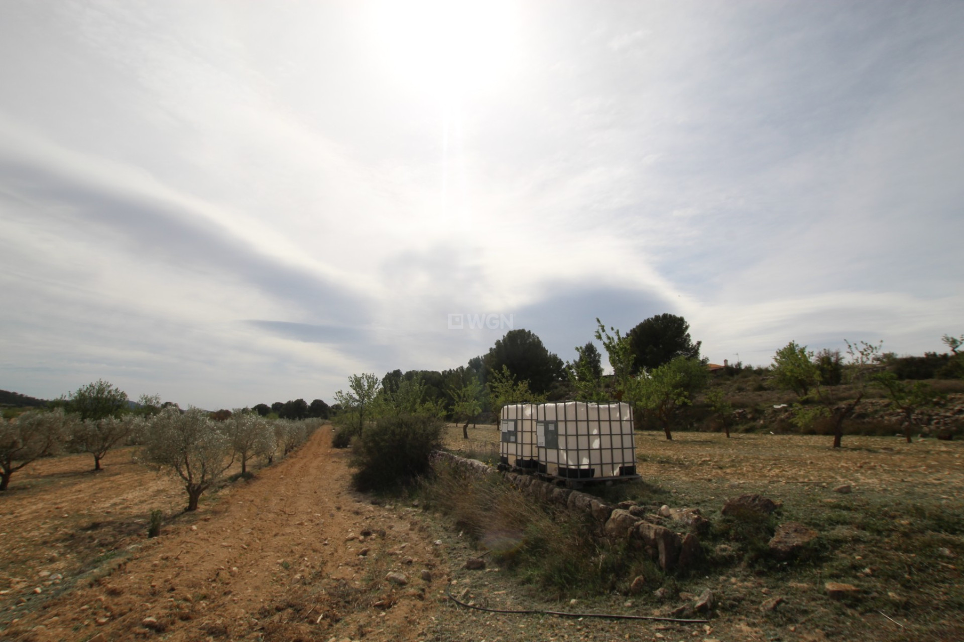 Reventa - Country House - Monóvar/Monóver - Inland