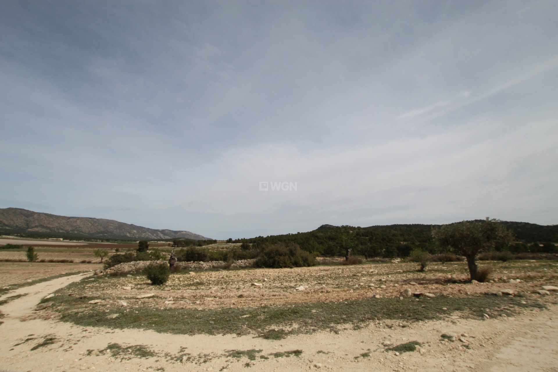 Reventa - Country House - Monóvar/Monóver - Inland