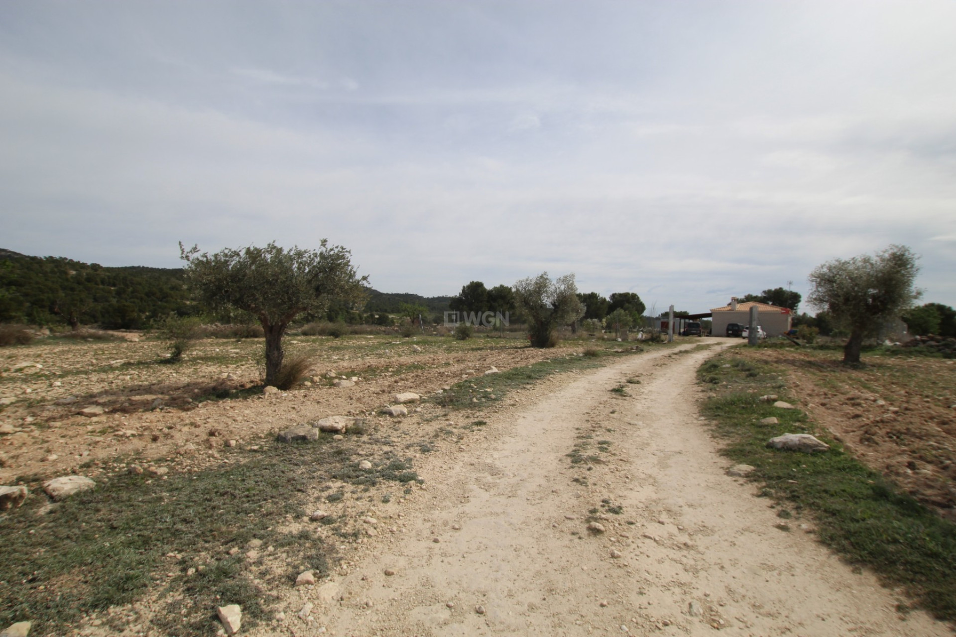 Reventa - Country House - Monóvar/Monóver - Inland