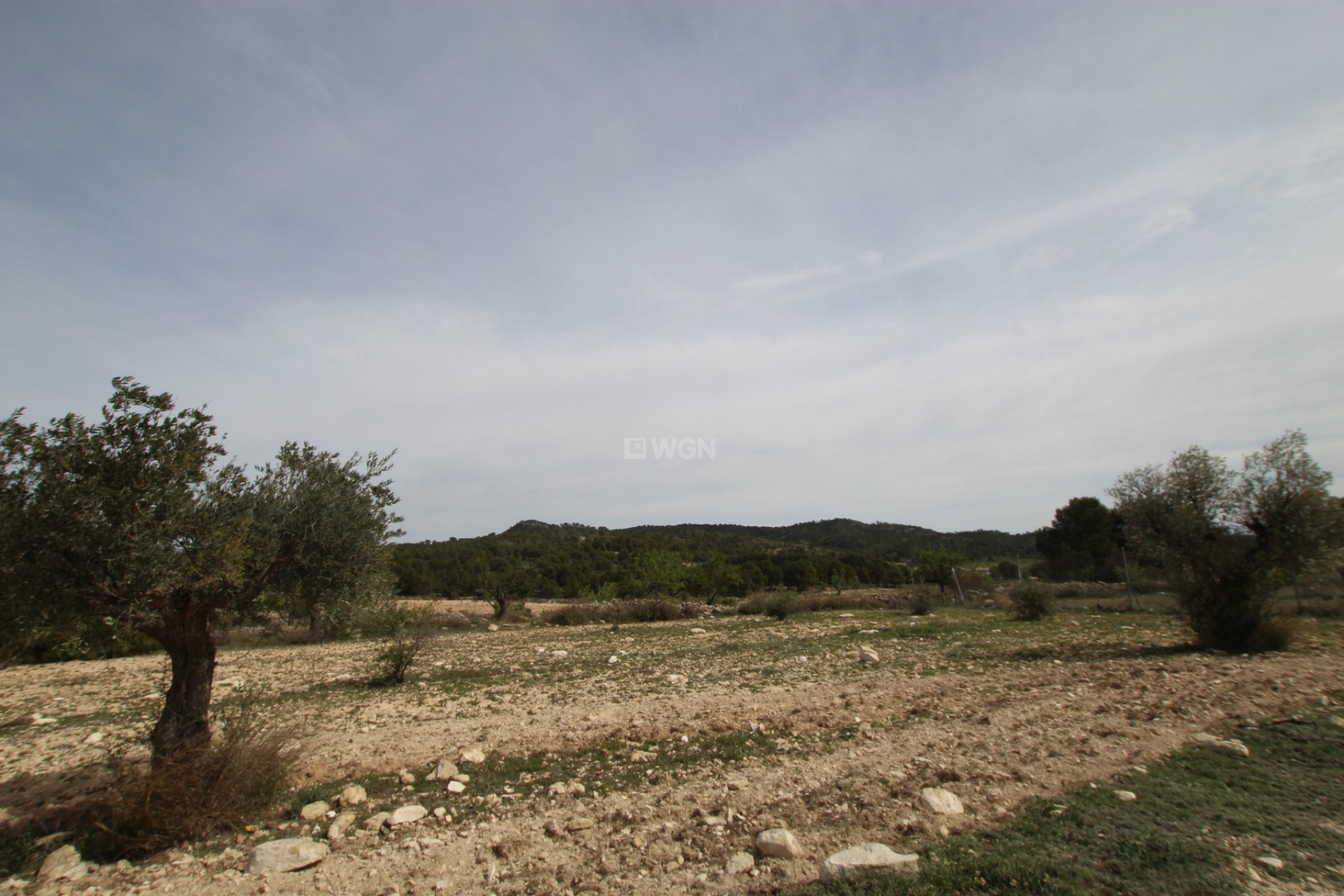 Reventa - Country House - Monóvar/Monóver - Inland