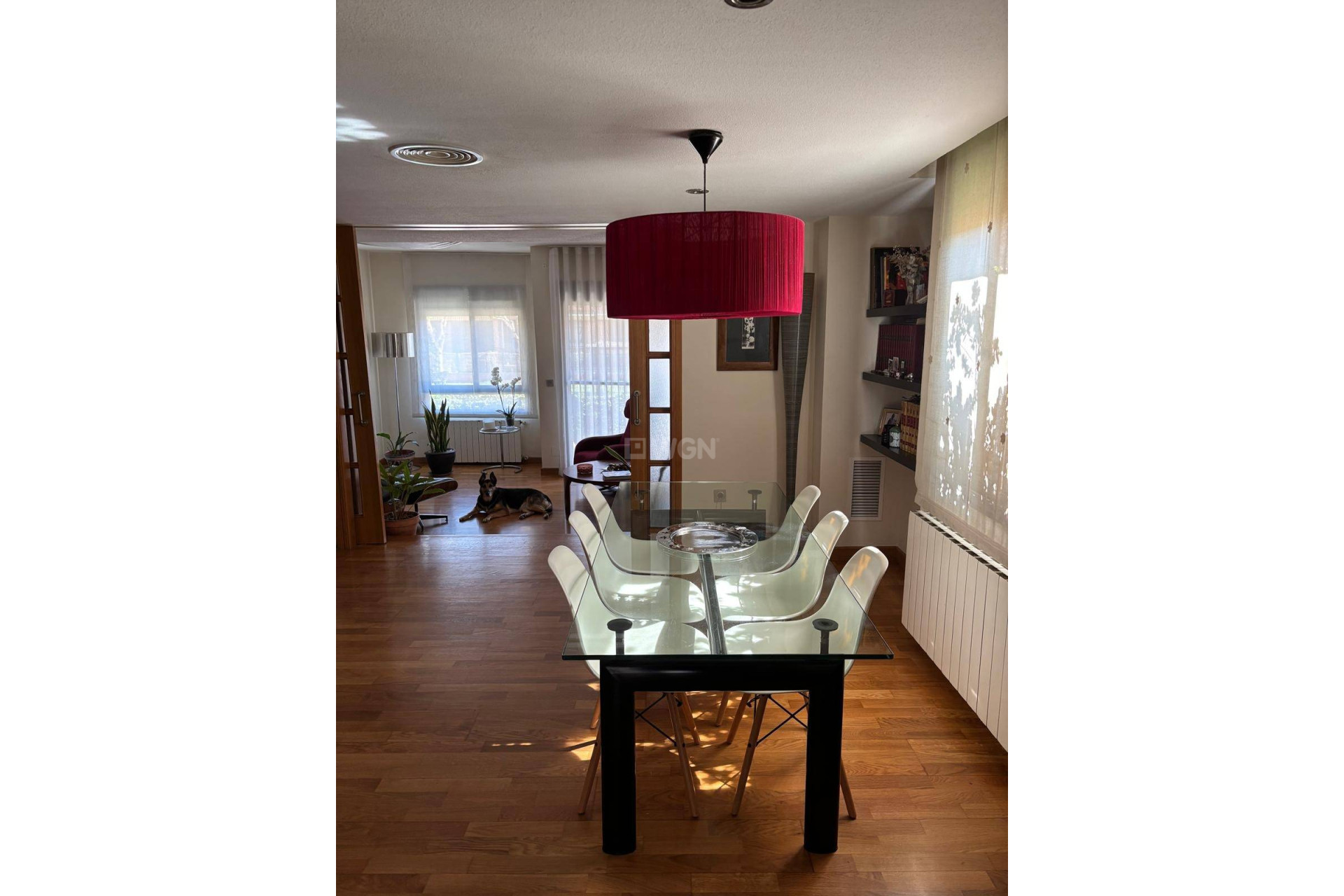 Reventa - Duplex - CHURRA - Churra