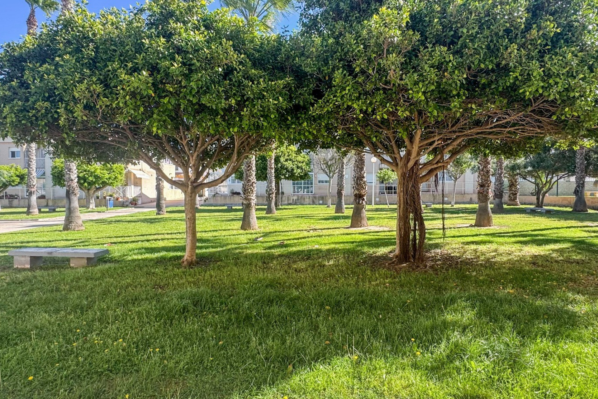 Reventa - Duplex - Torrevieja - Costa Blanca
