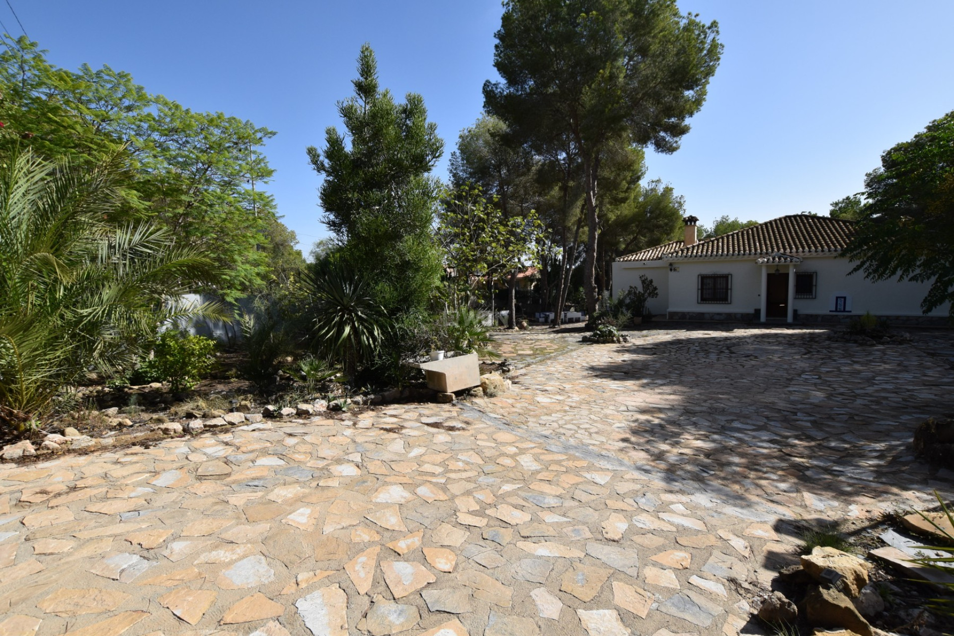 Reventa - Finca - Algorfa - Inland