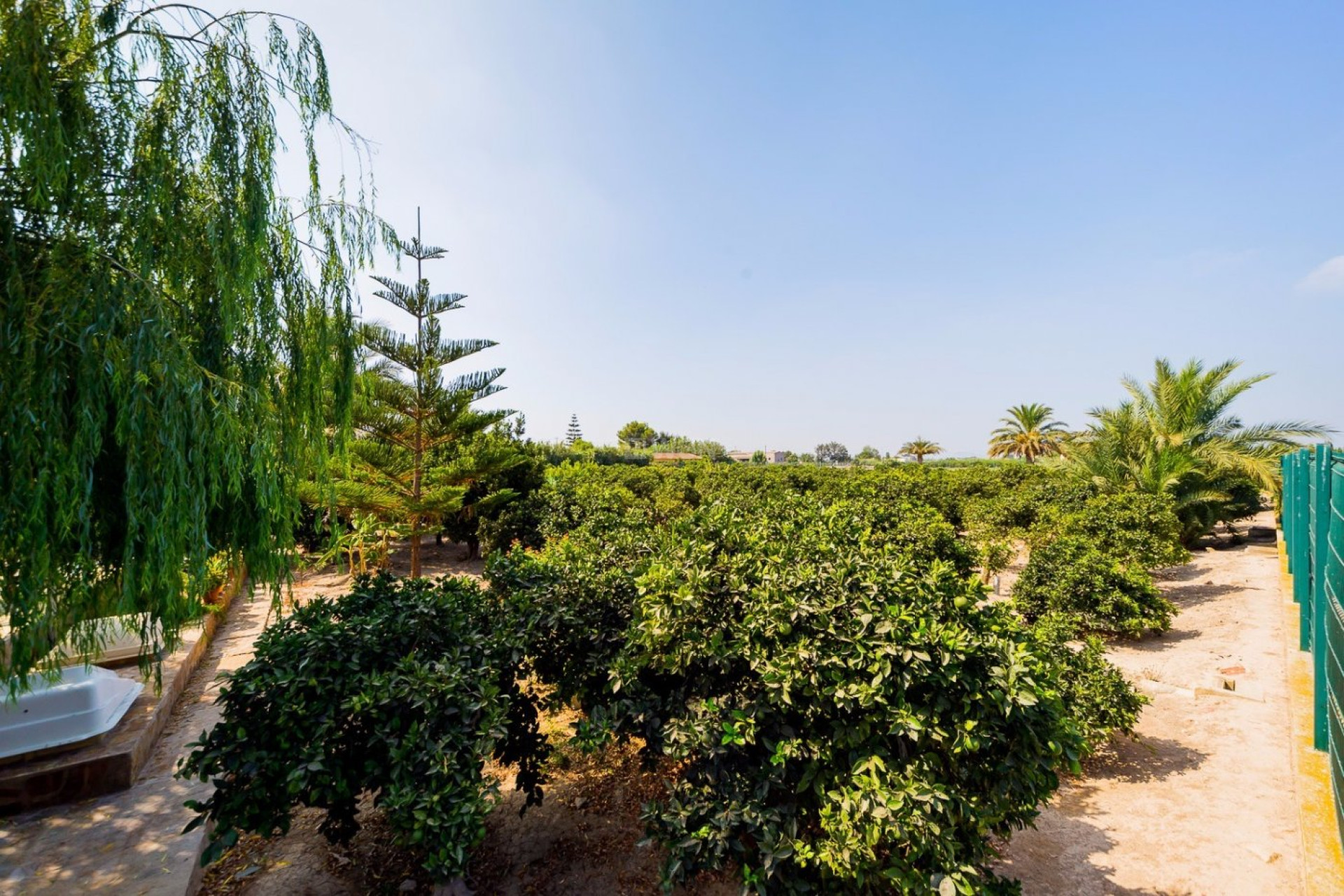 Reventa - Finca - Almoradí - Camino De Catral