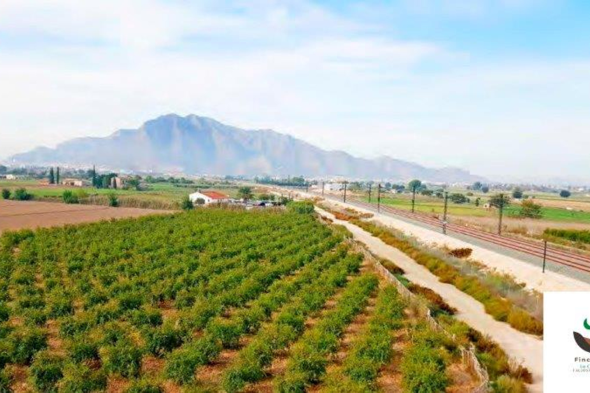 Reventa - Finca - Callosa de Segura - Inland