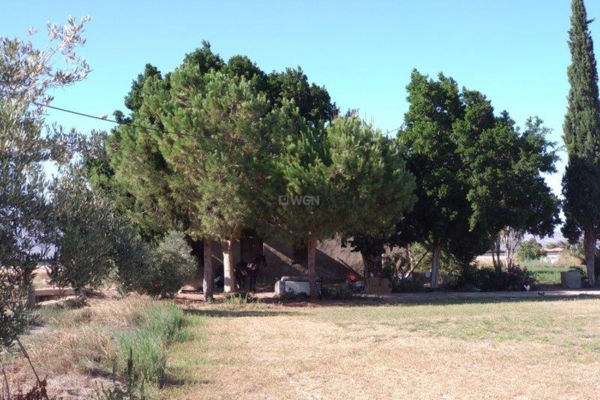 Reventa - Finca - Callosa de Segura - Inland