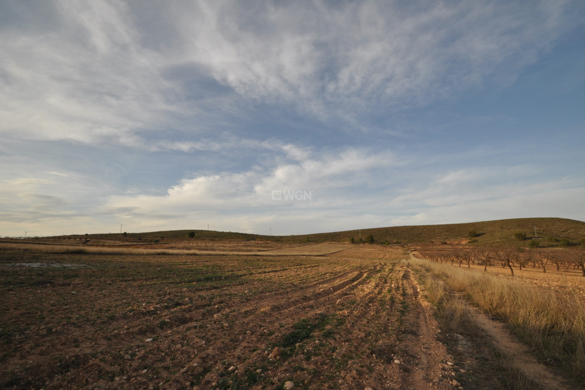 Reventa - Land - Abanilla - Inland