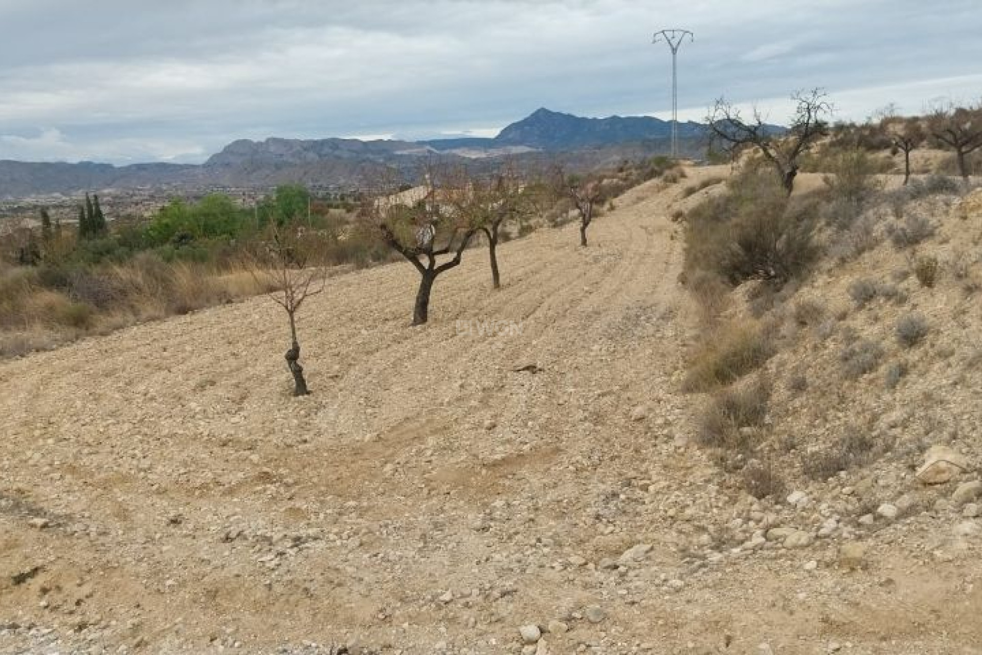 Reventa - Land - Abanilla - Inland