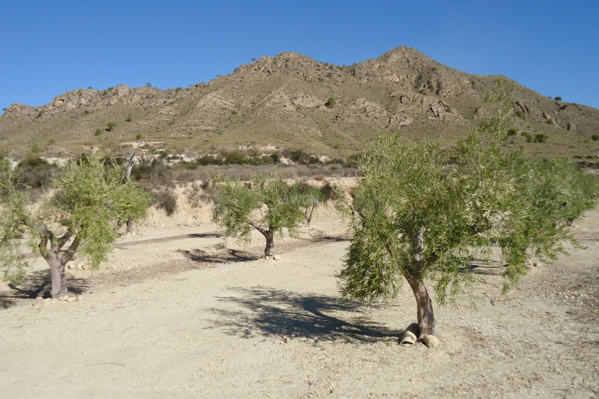 Reventa - Land - Abanilla - Inland