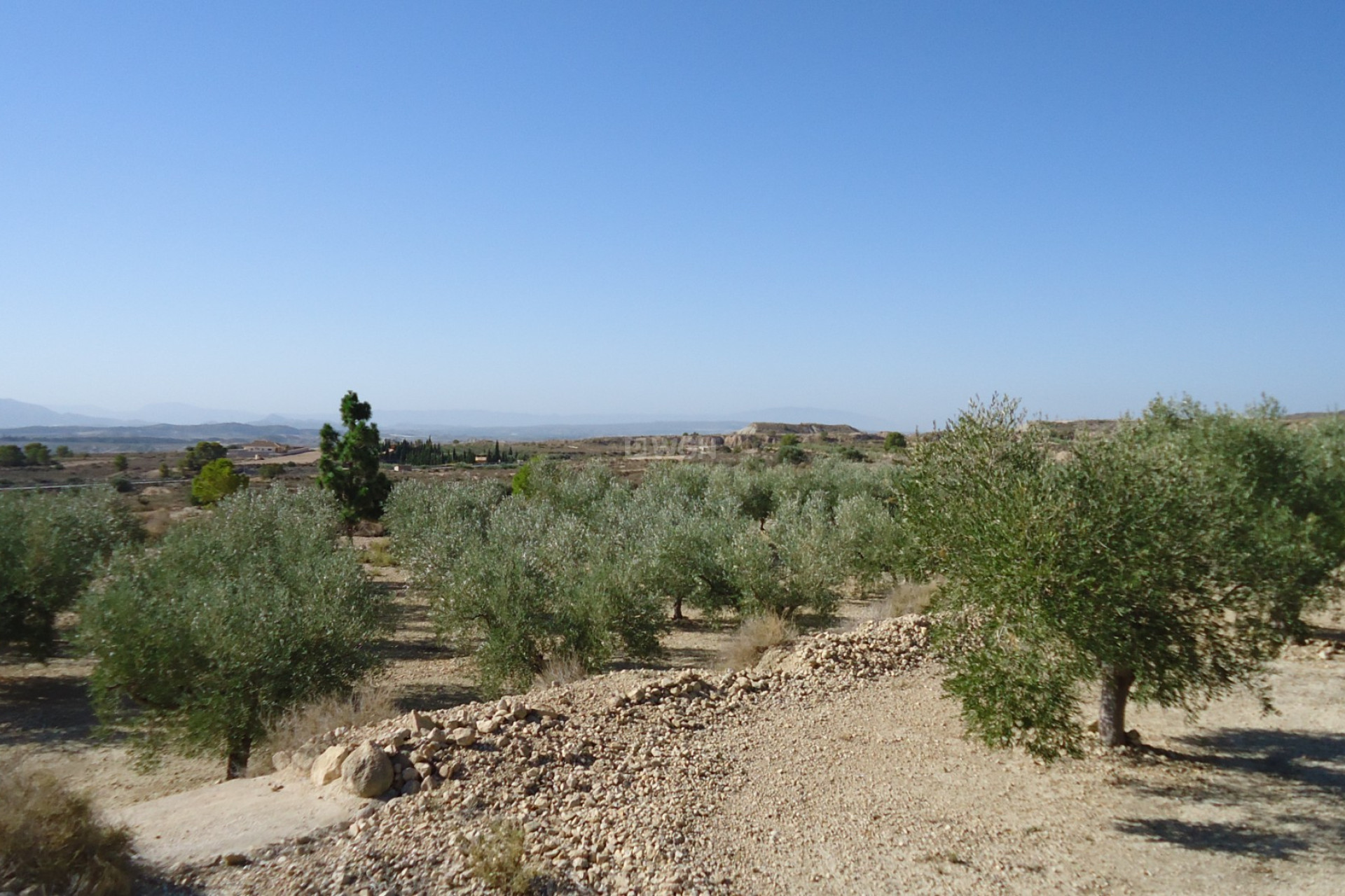 Reventa - Land - Abanilla - Inland