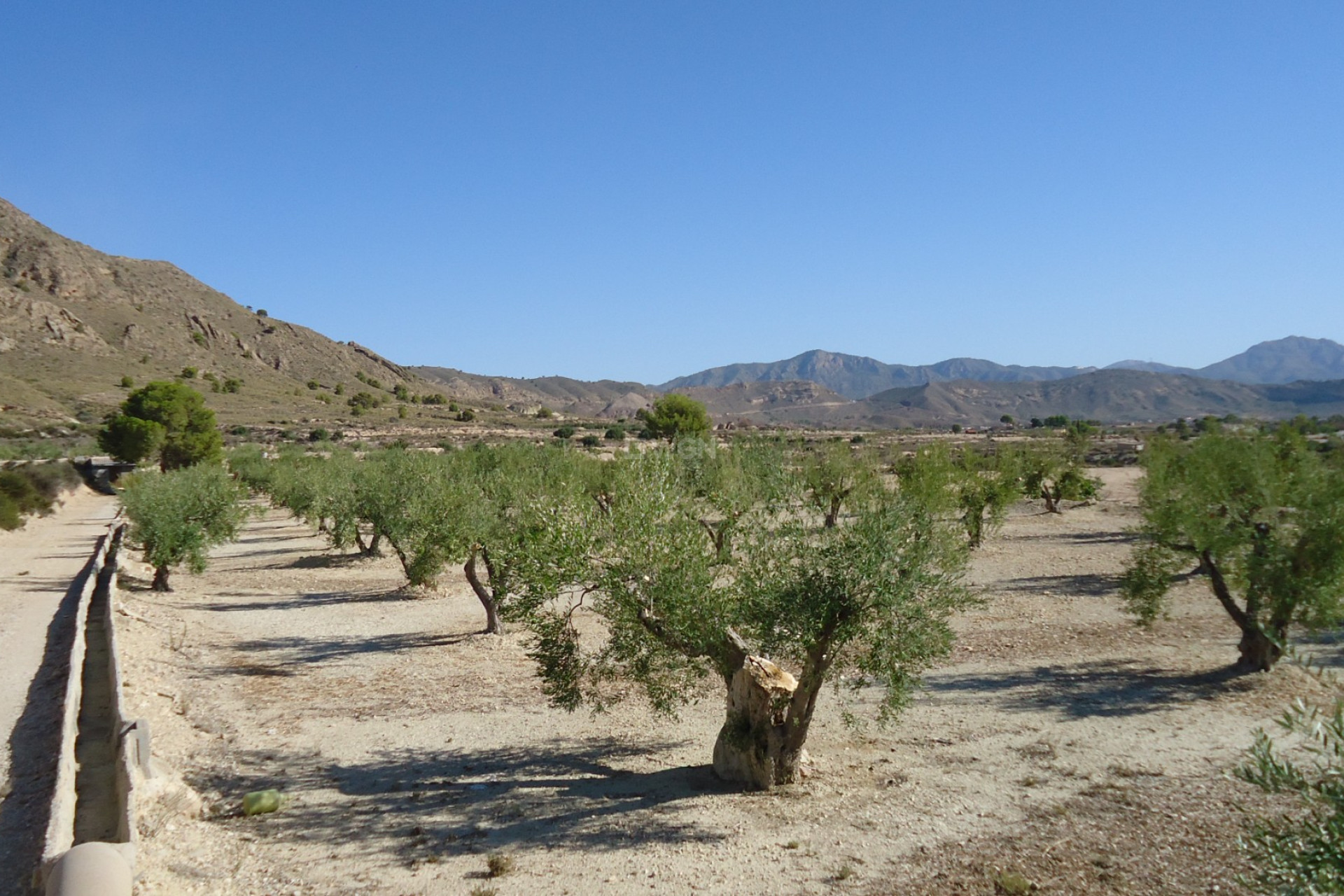 Reventa - Land - Abanilla - Inland