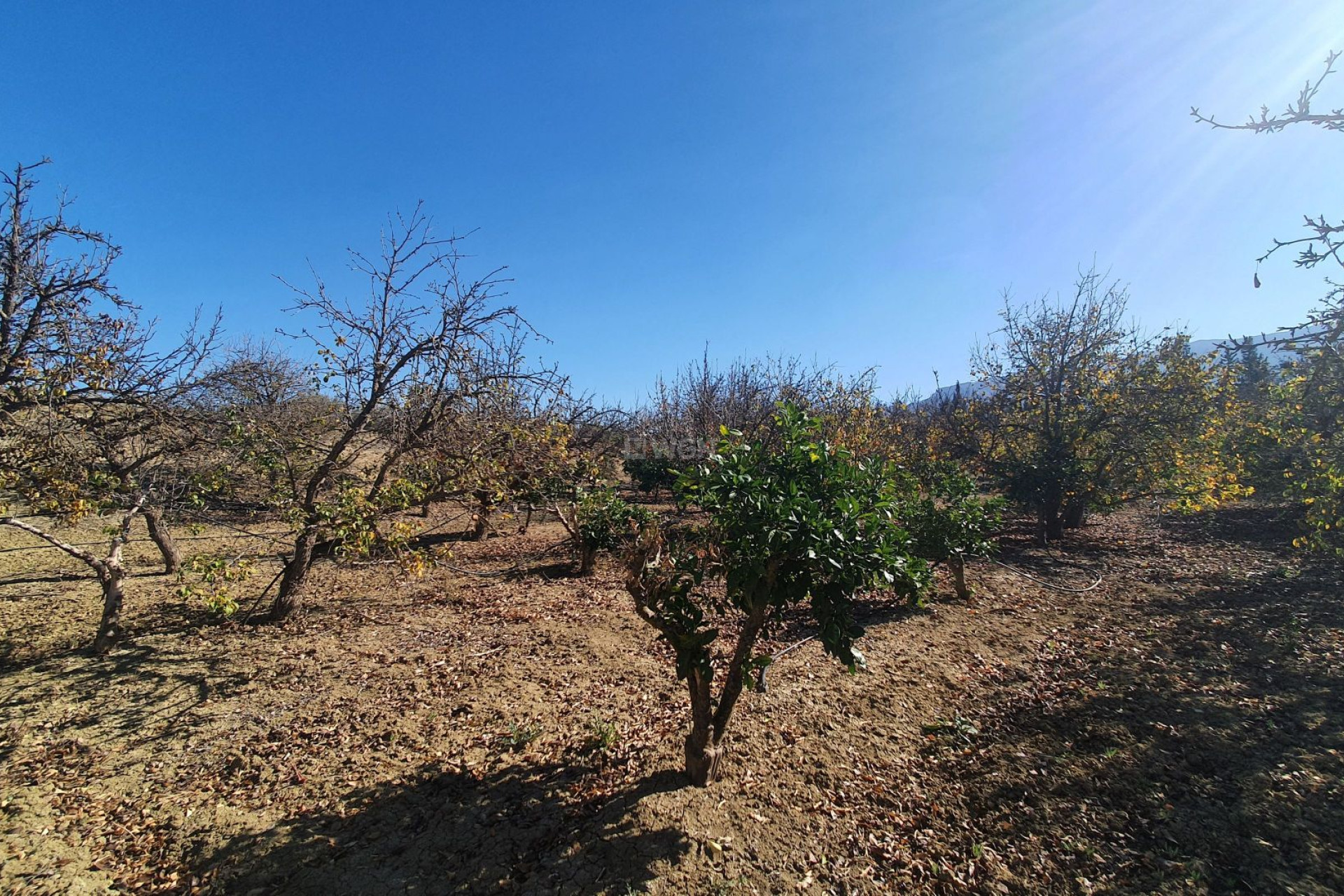 Reventa - Land - Alhaurin el Grande - Inland