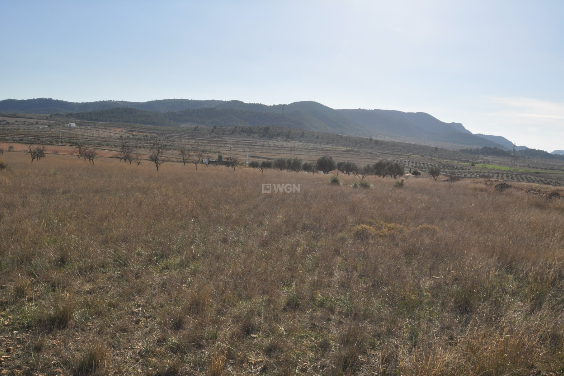 Reventa - Land - Canada del Trigo - Inland