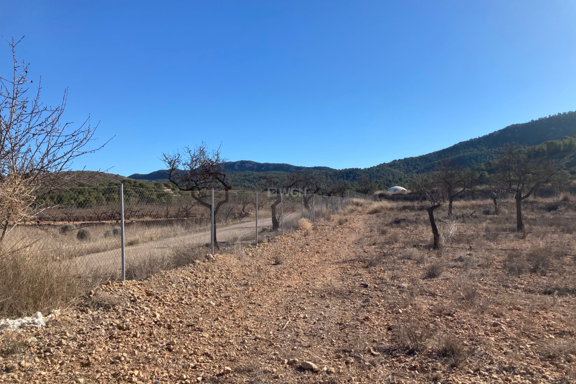 Reventa - Land - Hondón de las Nieves - Inland