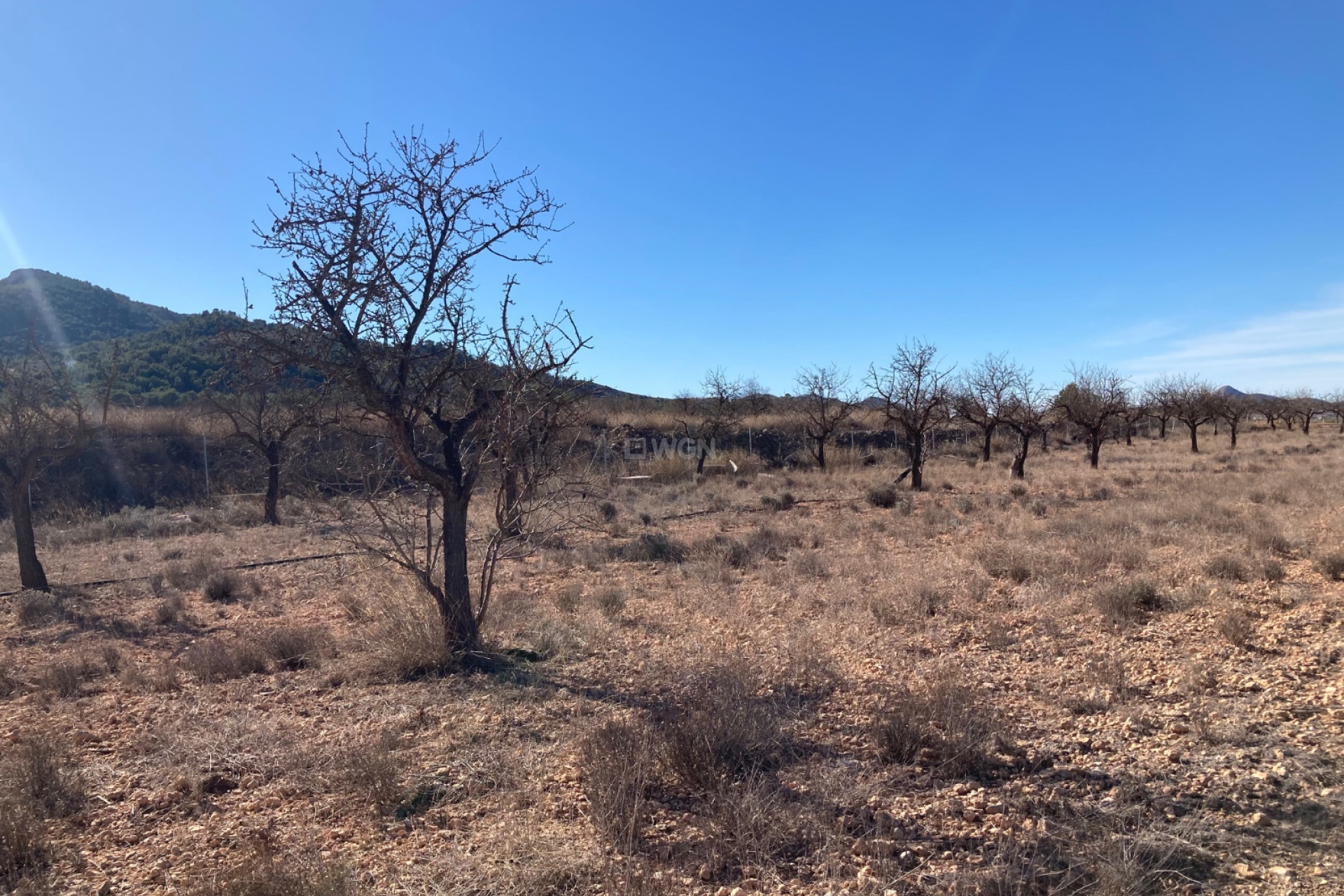 Reventa - Land - Hondón de las Nieves - Inland