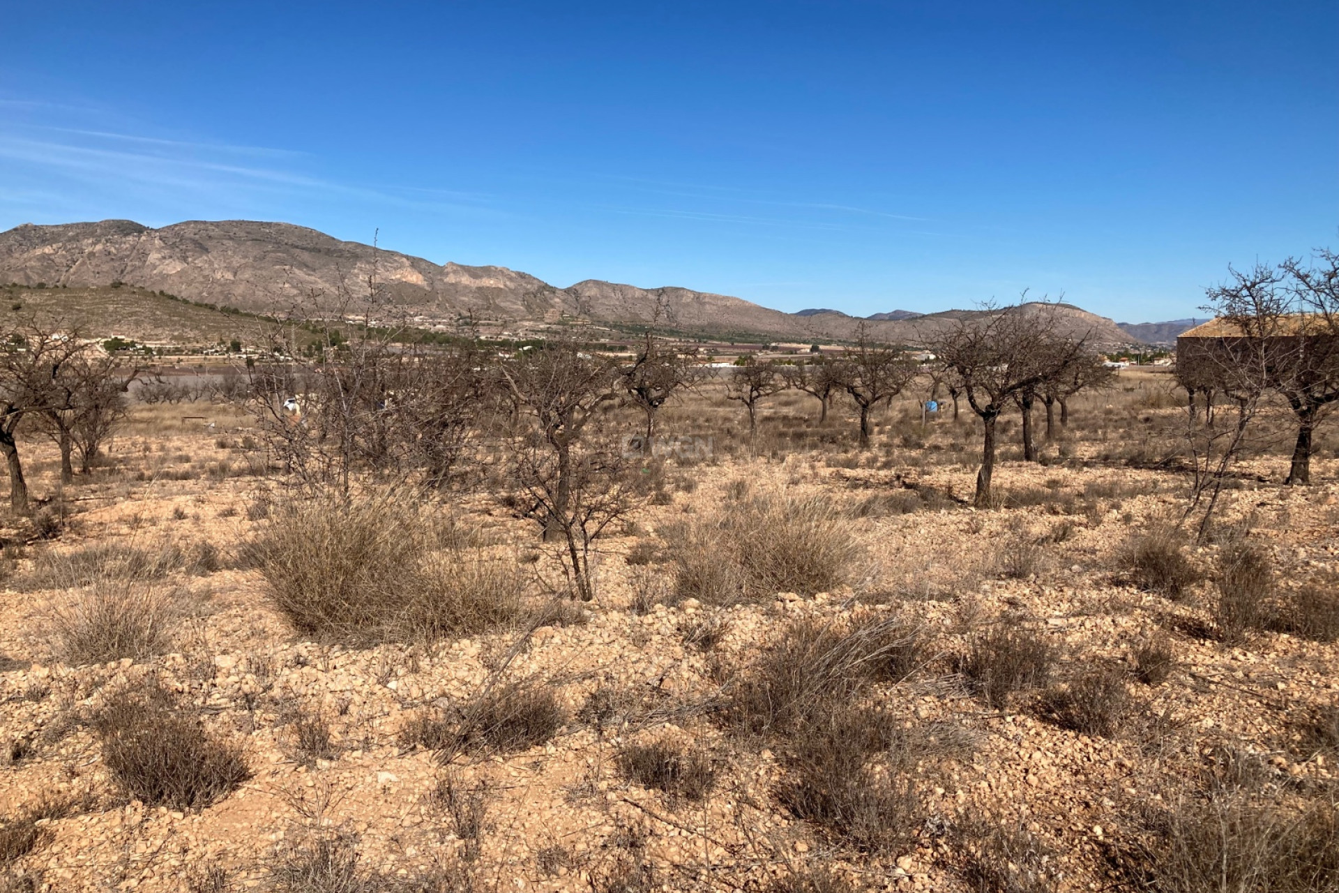 Reventa - Land - Hondón de las Nieves - Inland