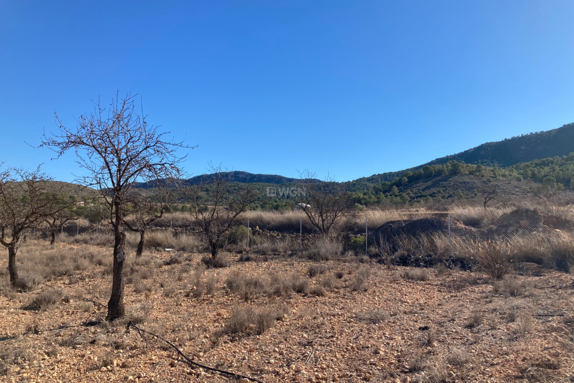 Reventa - Land - Hondón de las Nieves - Inland