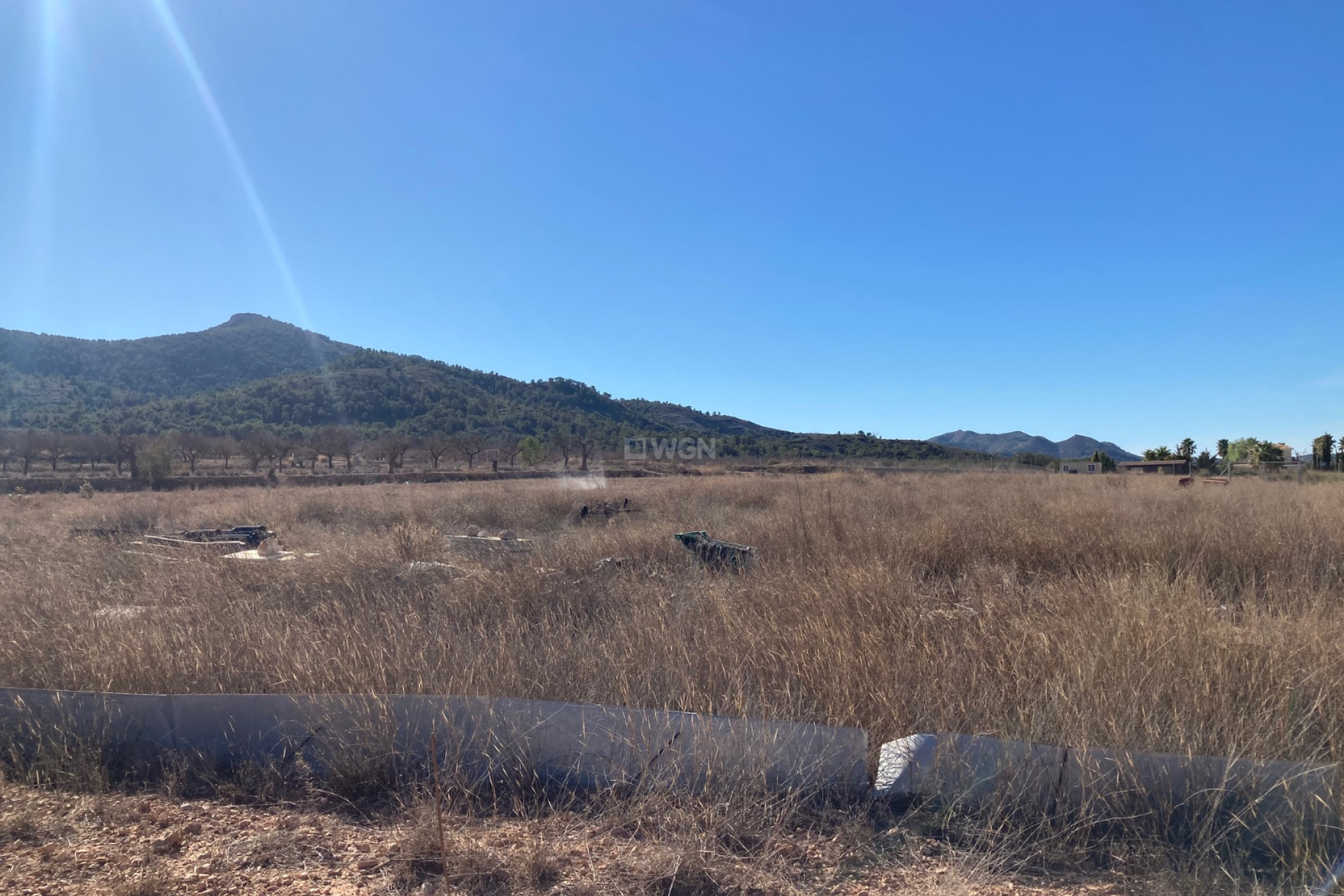 Reventa - Land - Hondón de las Nieves - Inland