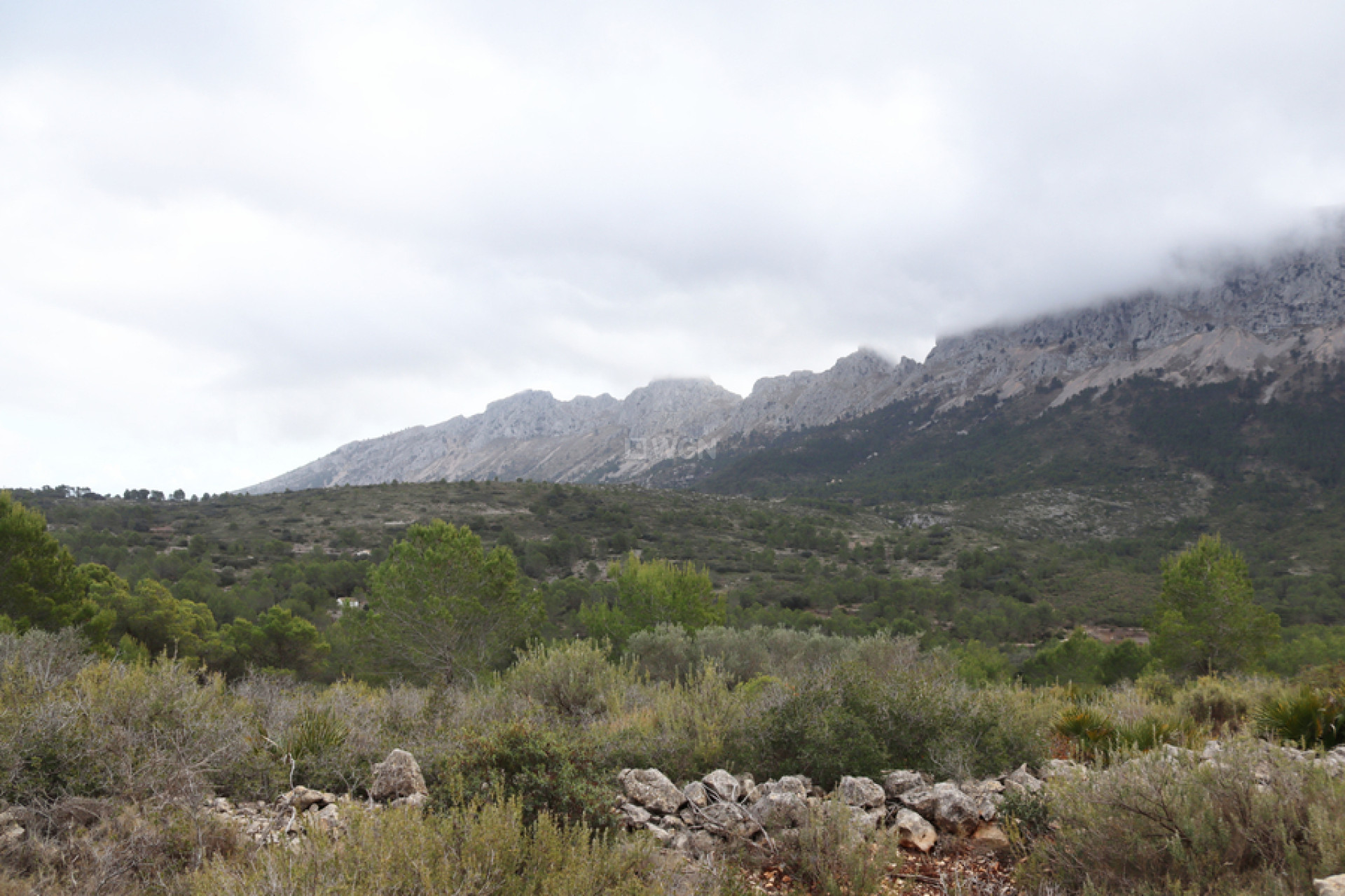 Reventa - Land - Jalón - Inland