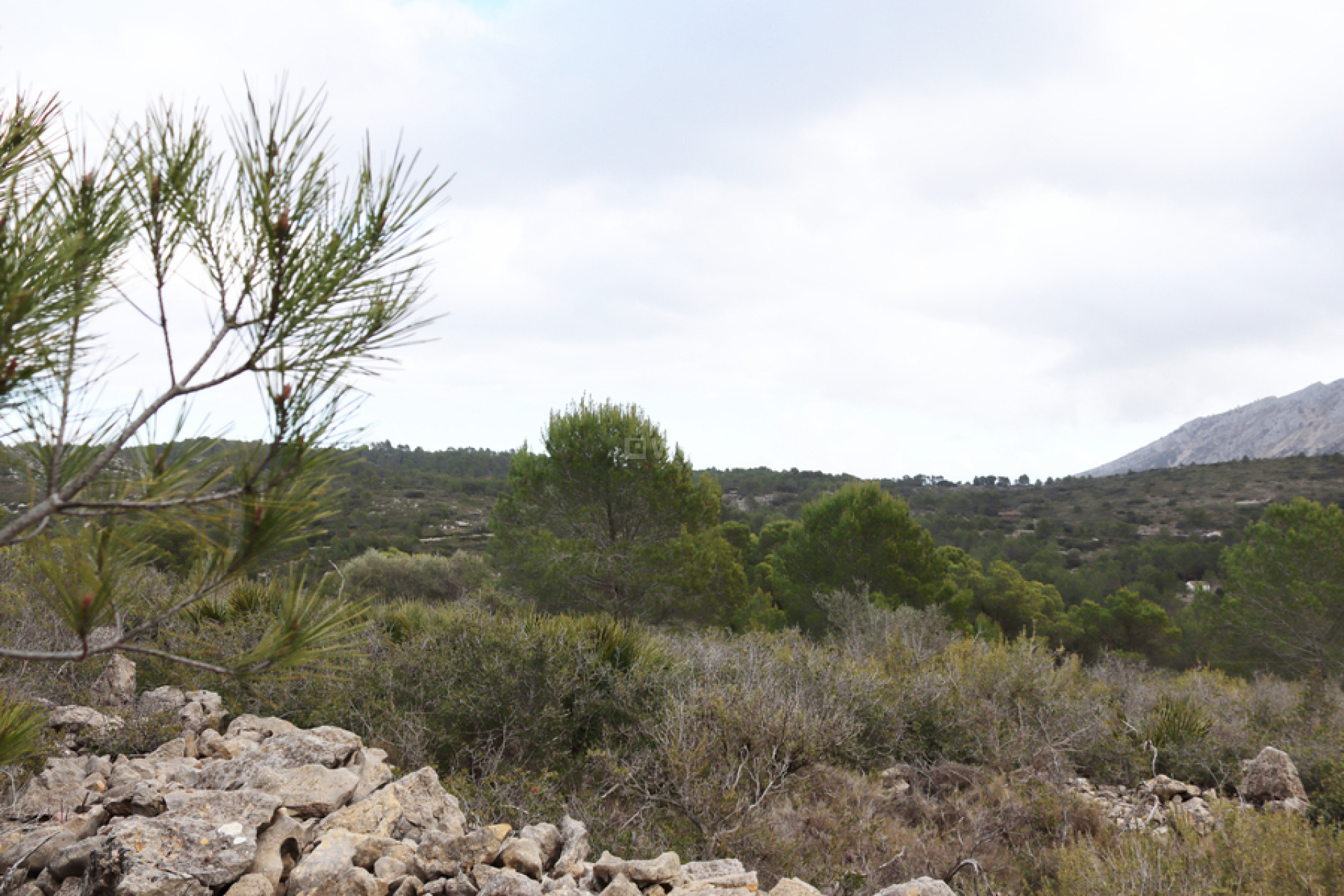 Reventa - Land - Jalón - Inland