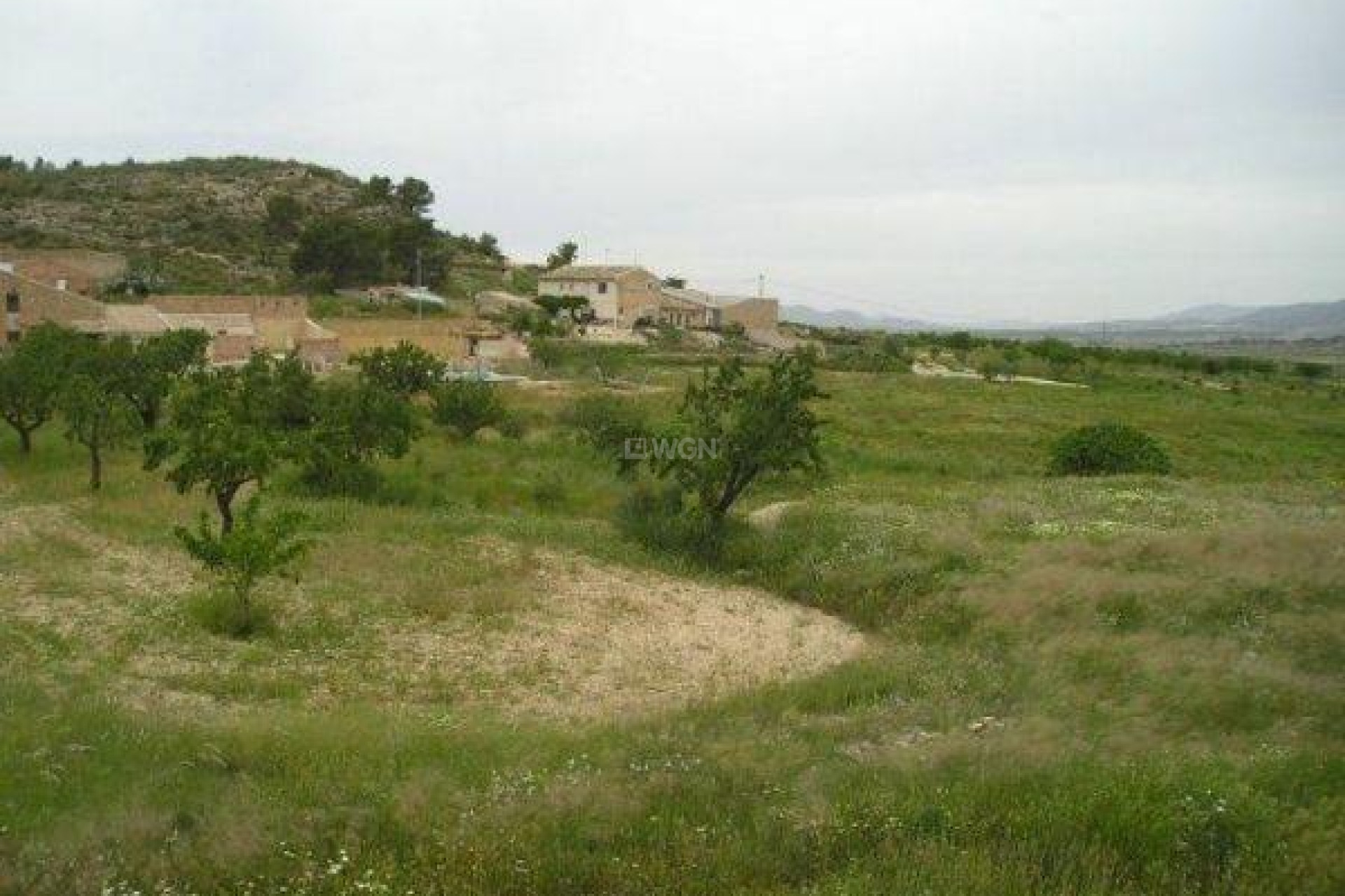 Reventa - Land - Jumilla - CaÑada Del Trigo