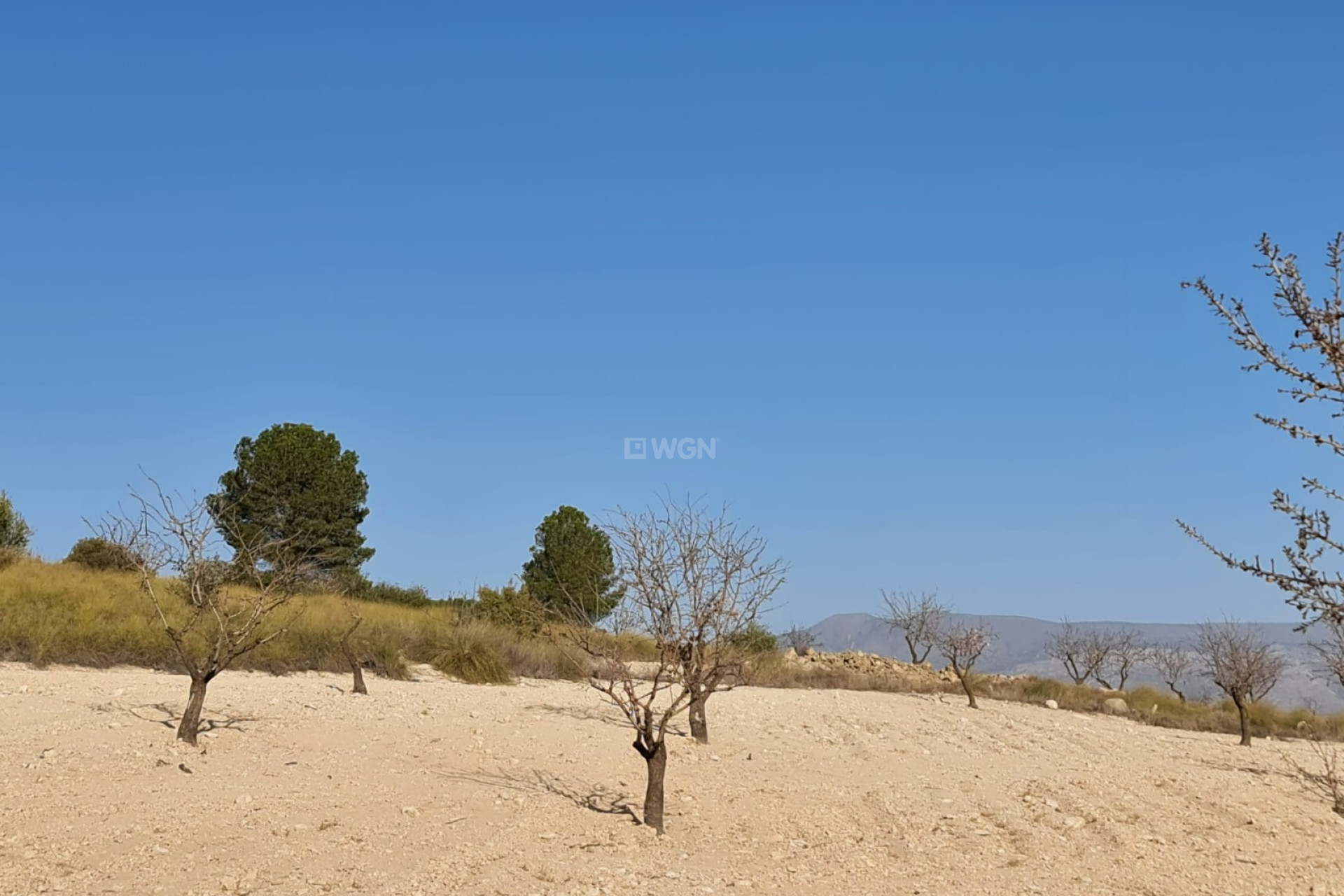 Reventa - Land - Jumilla - Inland