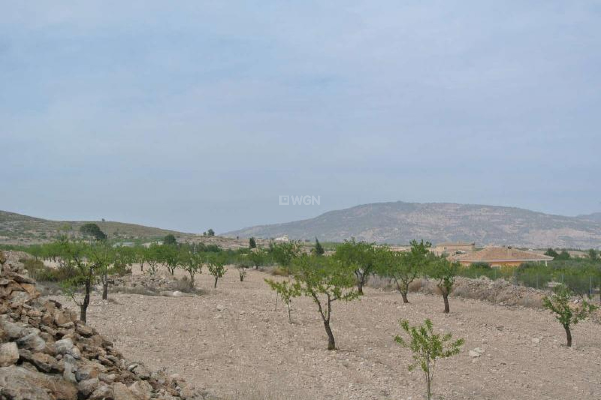 Reventa - Land - Jumilla - Inland