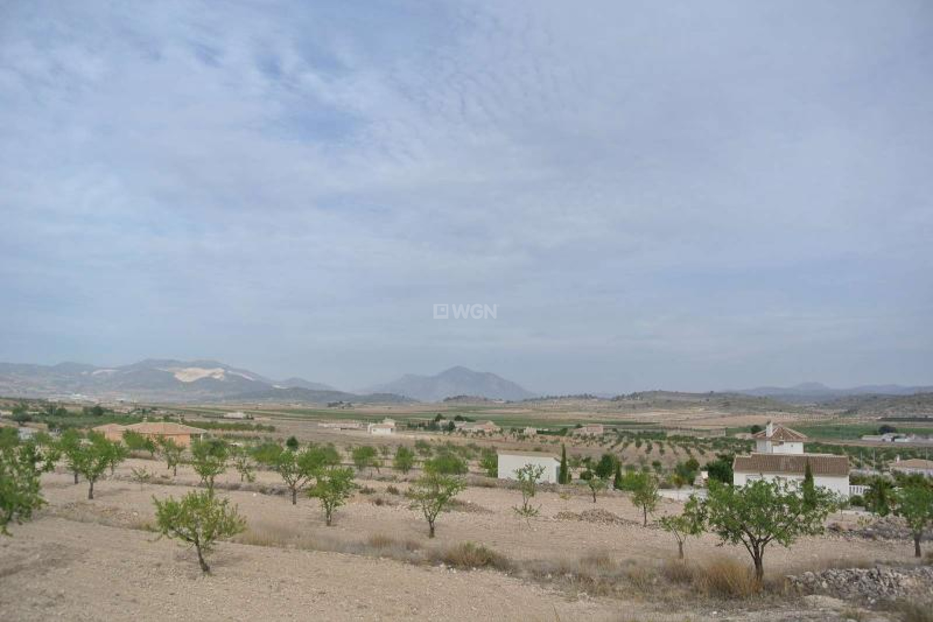 Reventa - Land - Jumilla - Inland